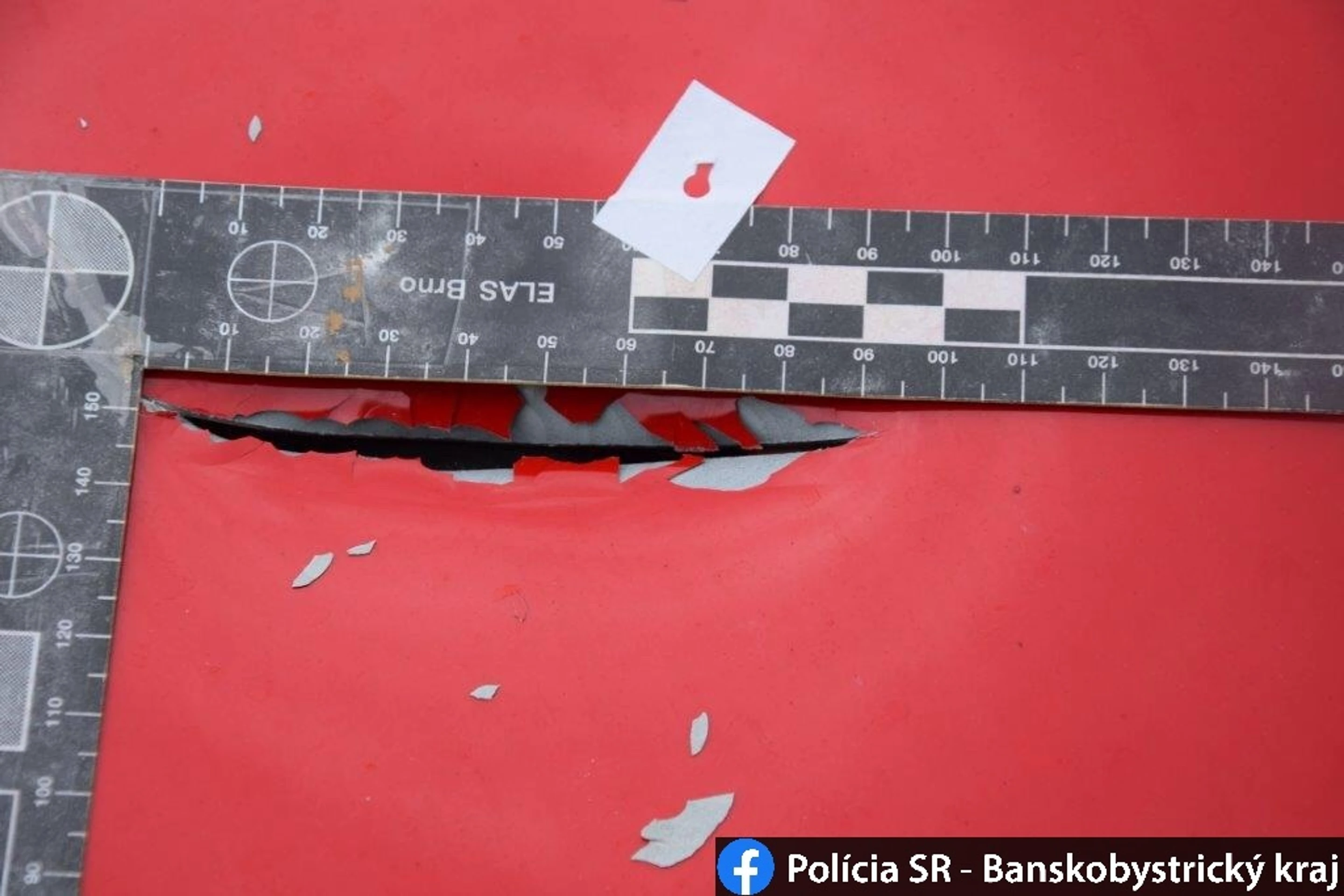 Modelka prirovnala svoje brucho k obľúbenému ovociu
