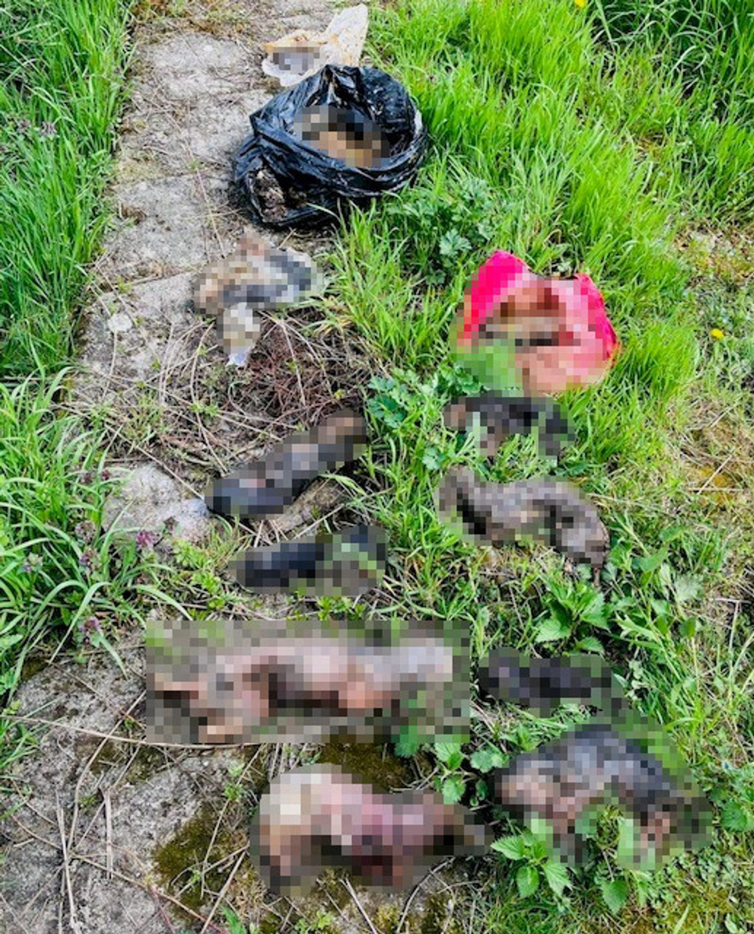 Psov držala v katastrofálnych podmienkach.