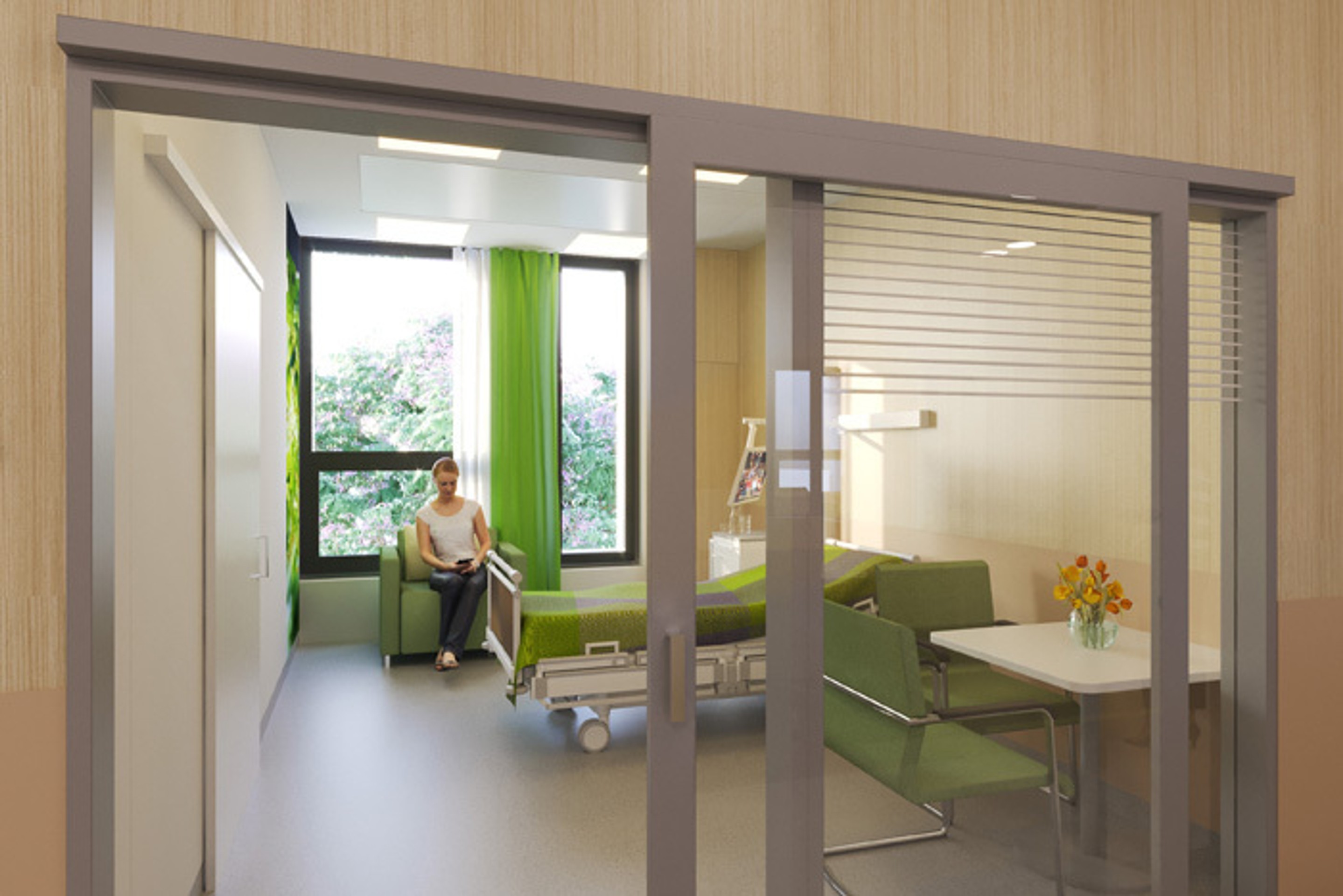 Vizualizácia nemocnice v bratislavských Boroch.