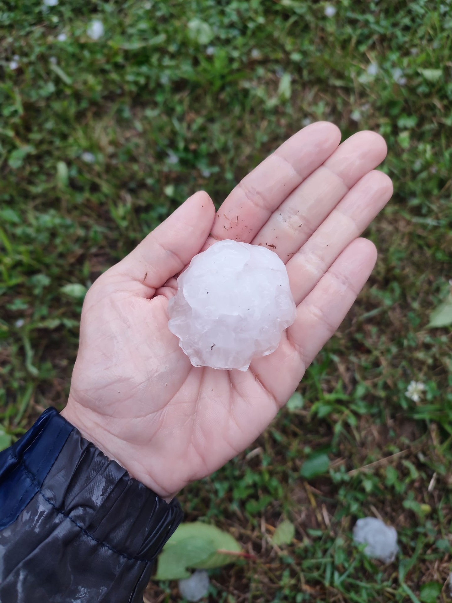 Krúpy v Lieskovci pri Zvolene. 