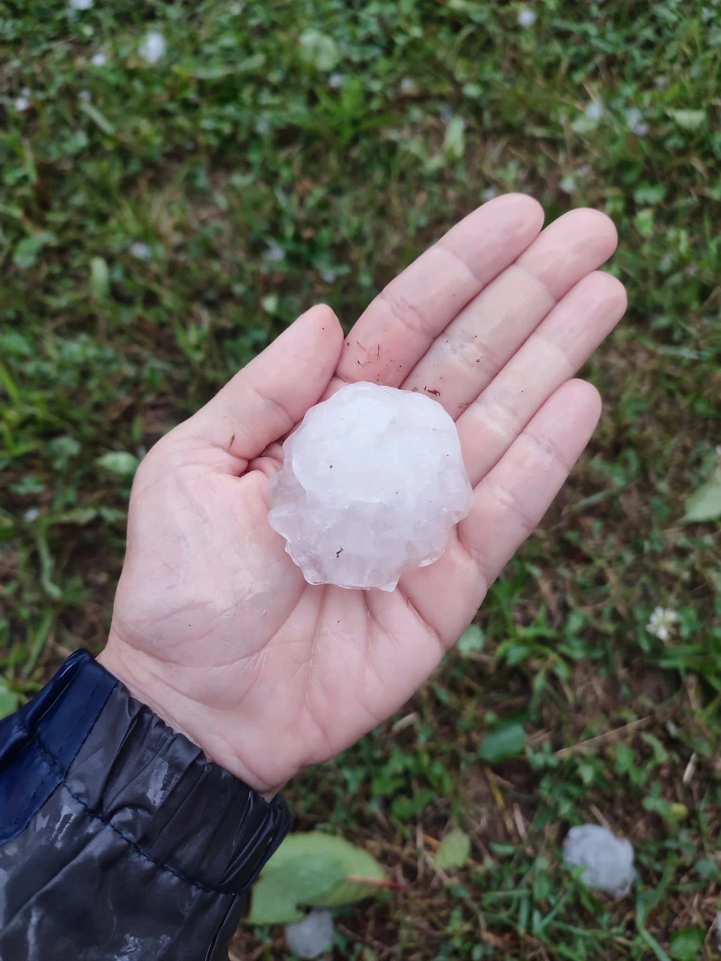 Krúpy v Lieskovci pri Zvolene. 