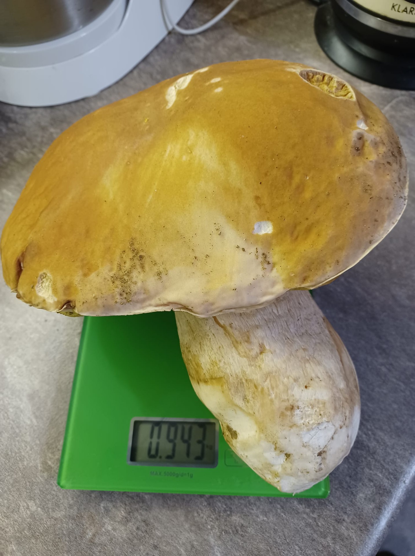 Jeden záber zo severovýchodného Slovenska z Bardejova vďaka Ivete Volčkovej Ujackej