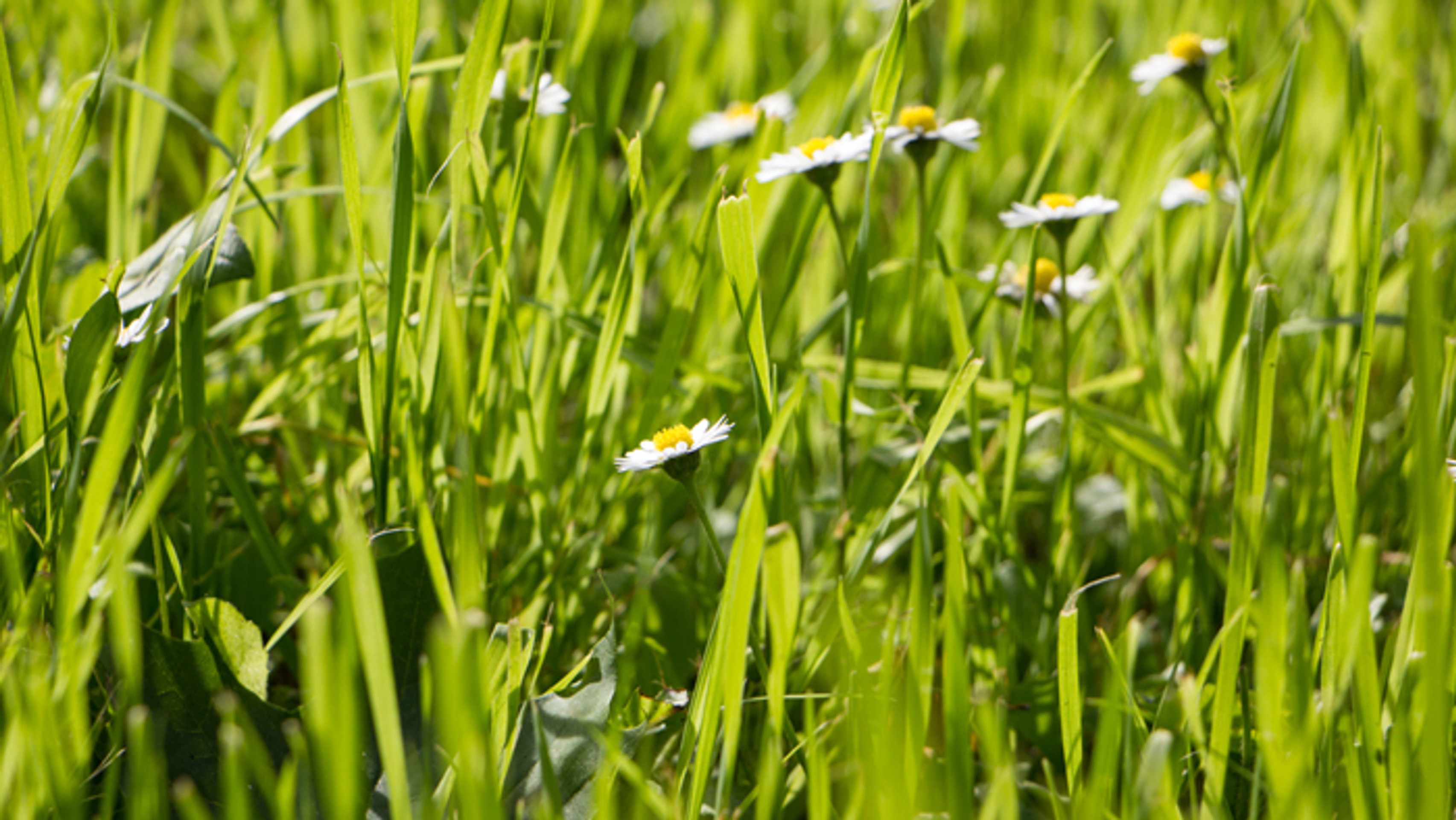 Ilustračná snímka.