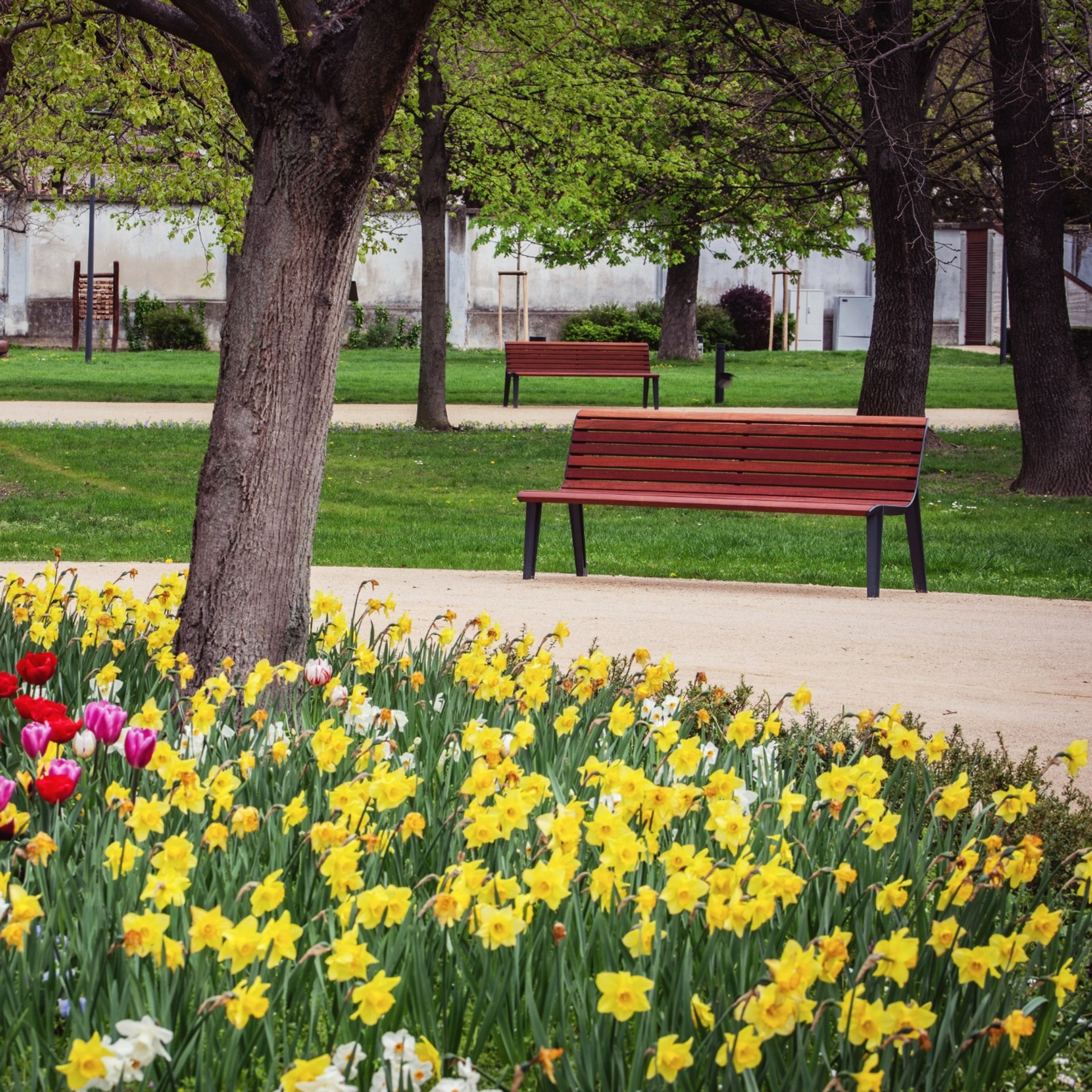 448459980_768101232180660_3717572474067202397_n