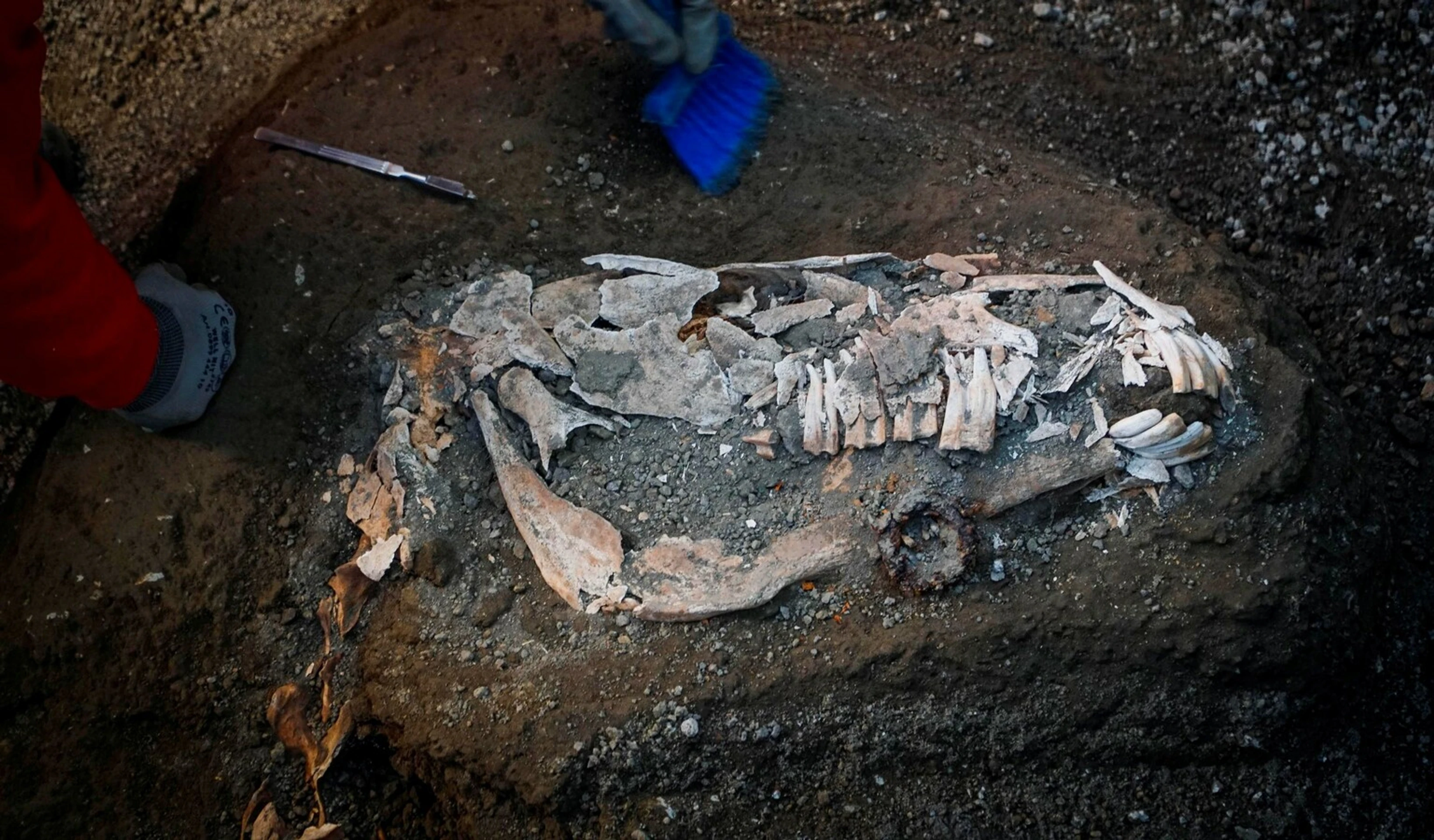 Nový objav v Pompejách