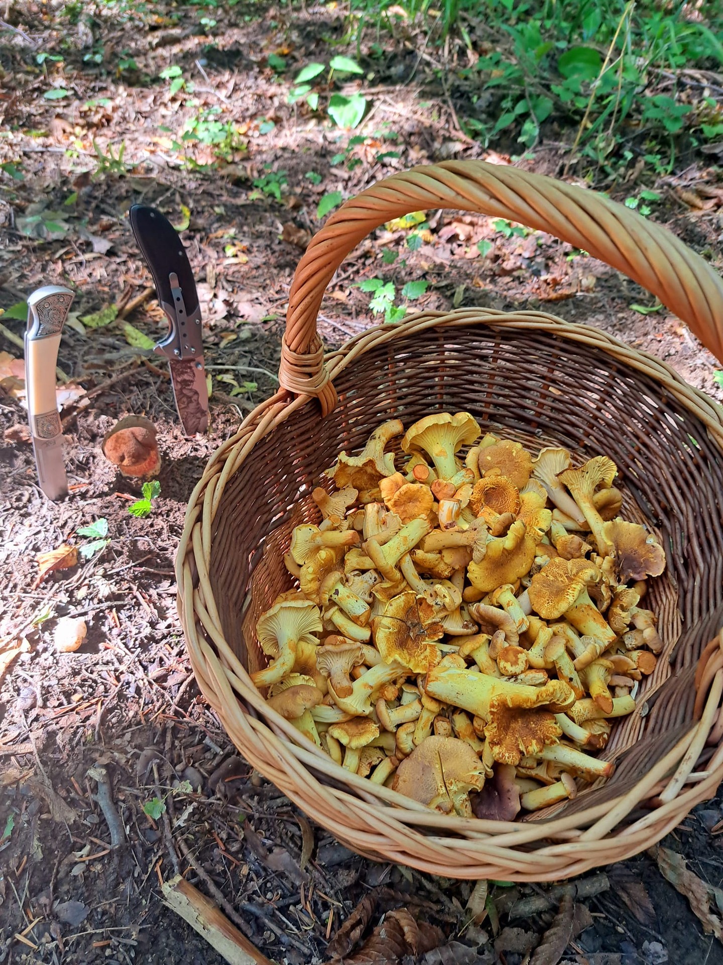 Kôš plný kuriatok od Gordany Rozičovej v okolí Prešova.