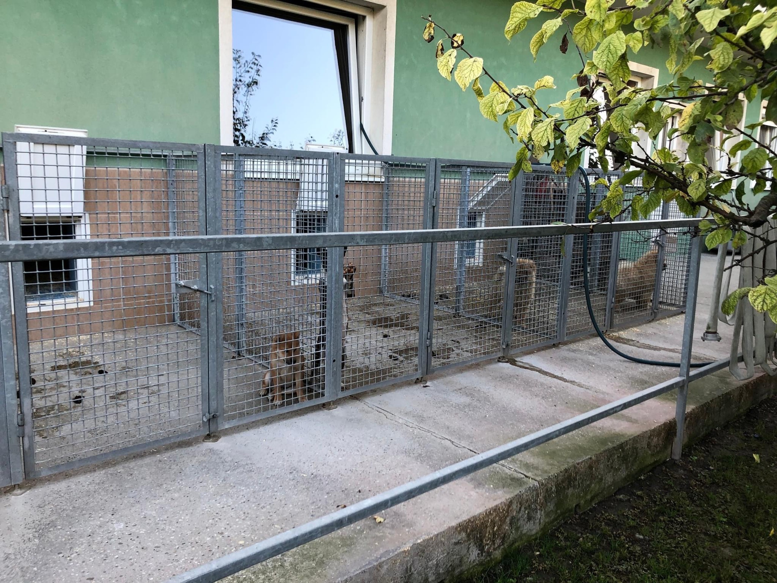 Policajná akcia Kerberos