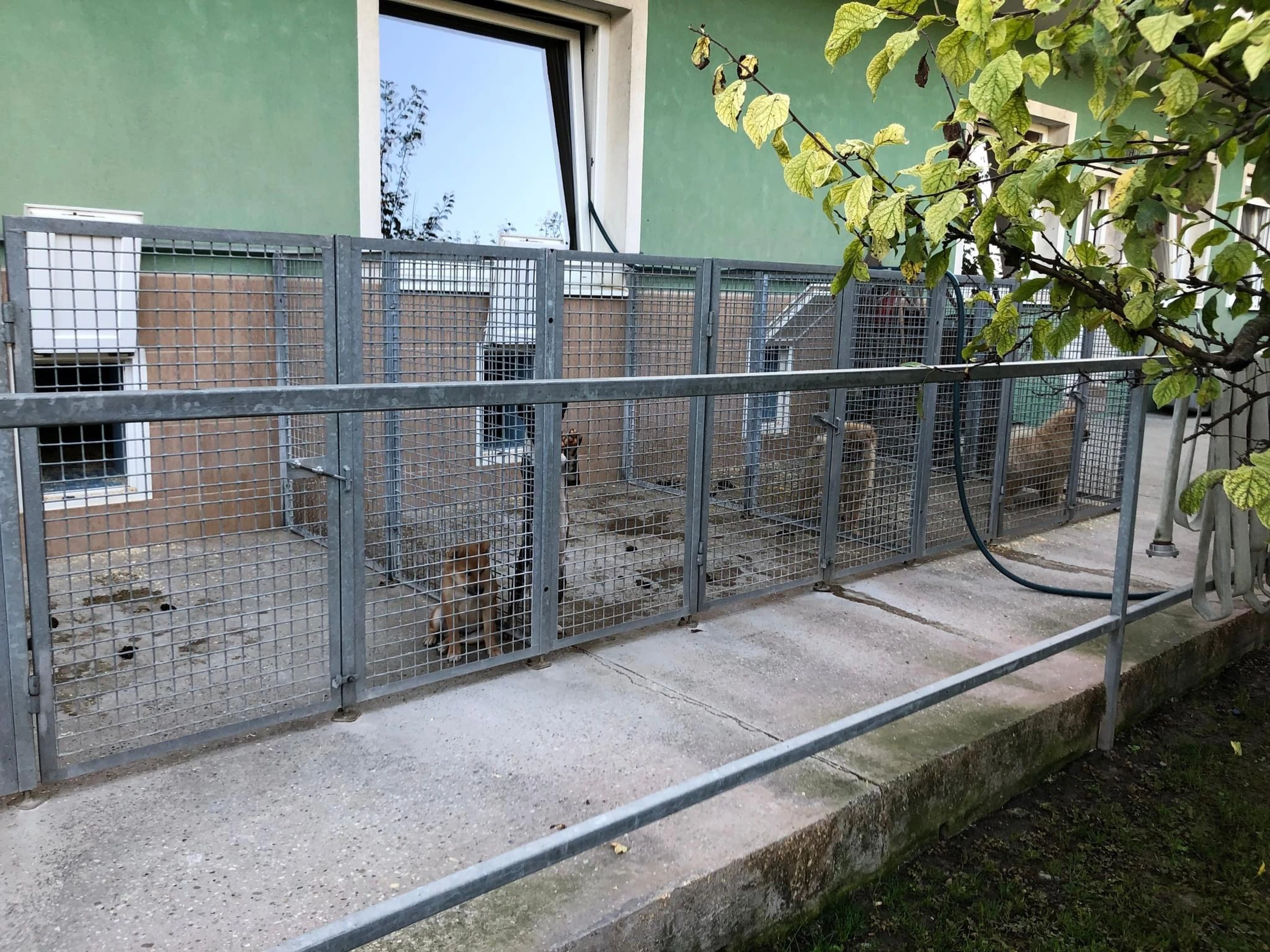 Policajná akcia Kerberos