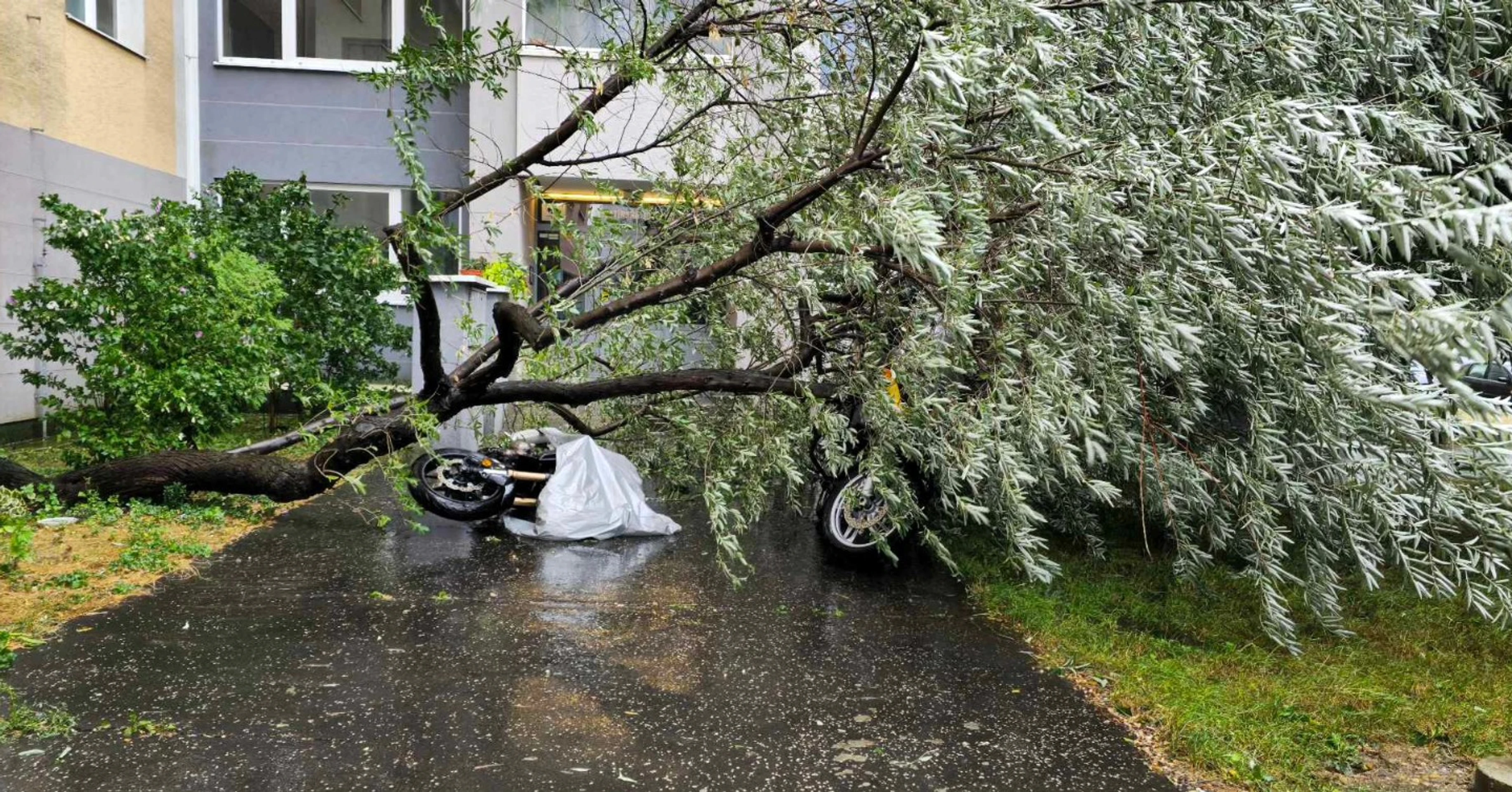 Technický zásah - padnutý strom na motocykle