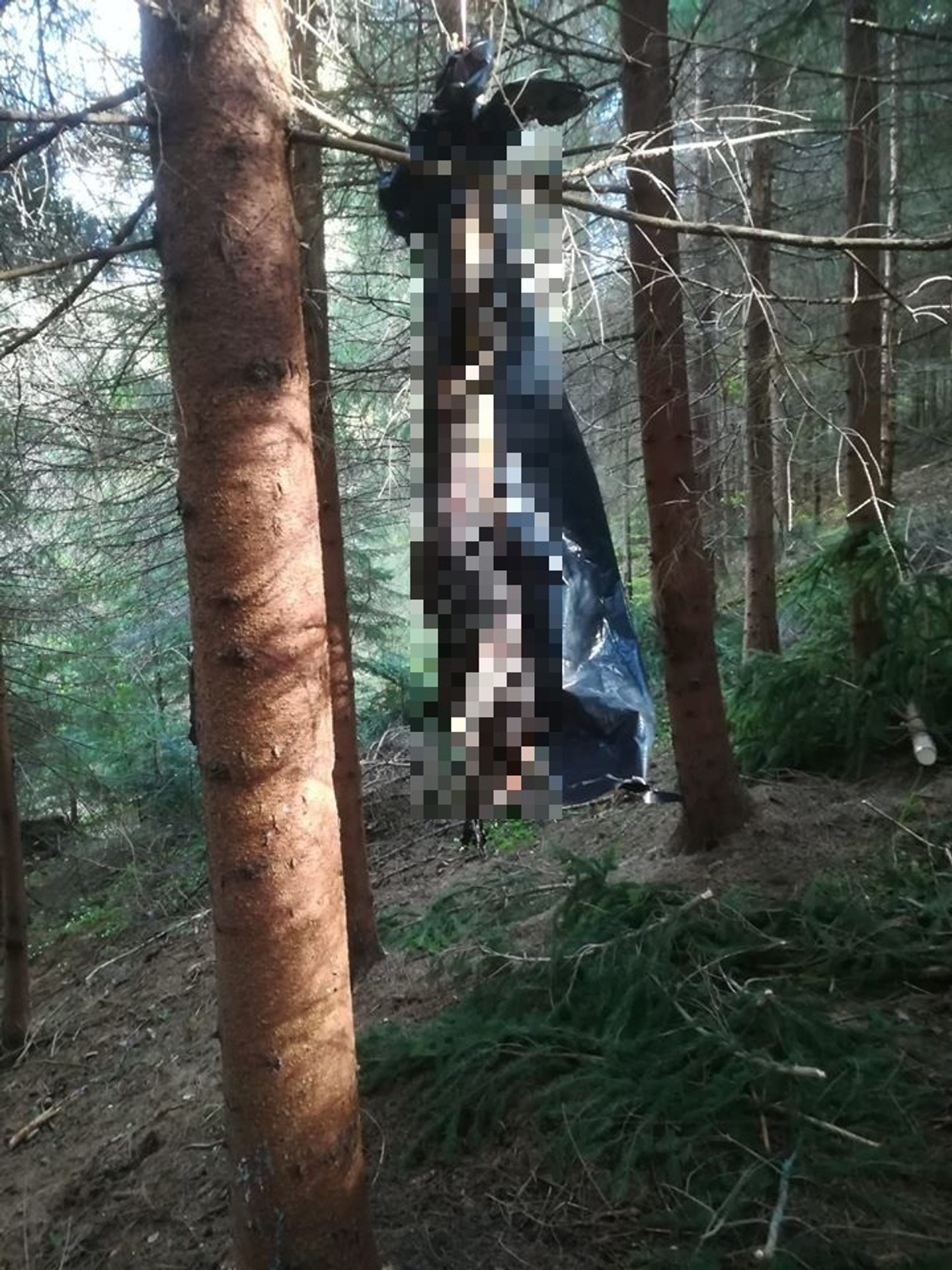 Šéfkuchár, ktorý v rúre spáli papriky? Môžete sa od neho učiť!