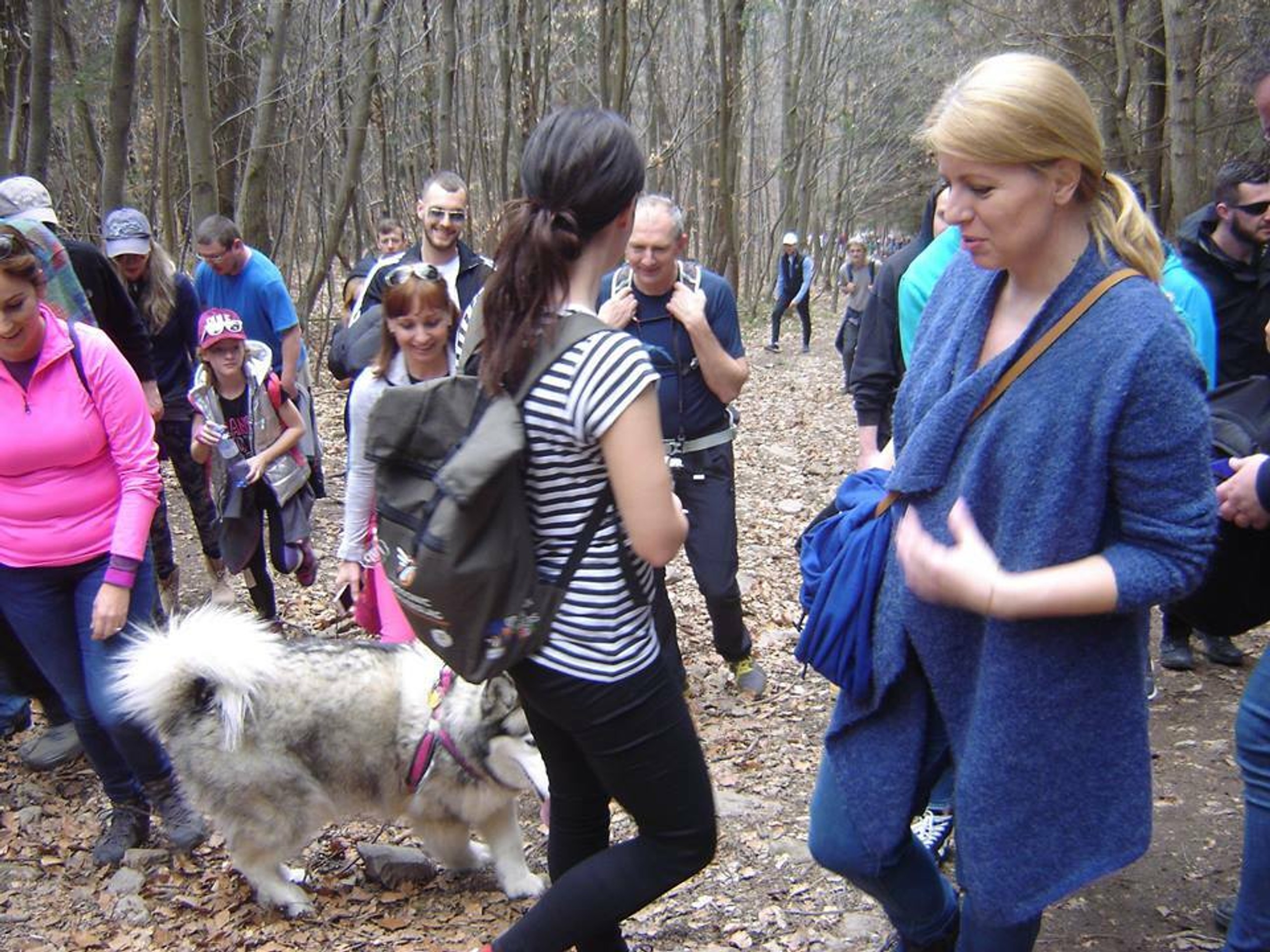 Radosť hráčov Arsenalu po góle proti Newcastlu.