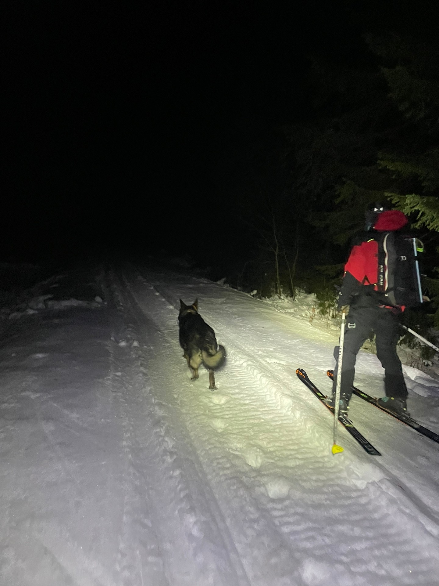 Pád lavíny do Tichej doliny so šťastným koncom.