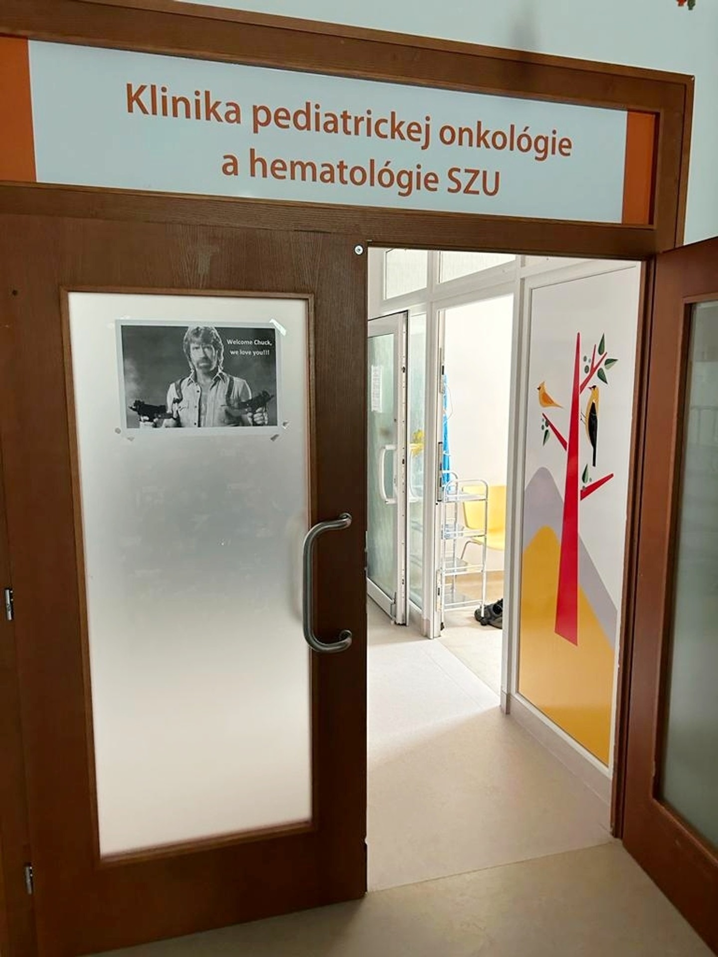 Chuck Norris v onkologickom centre. 