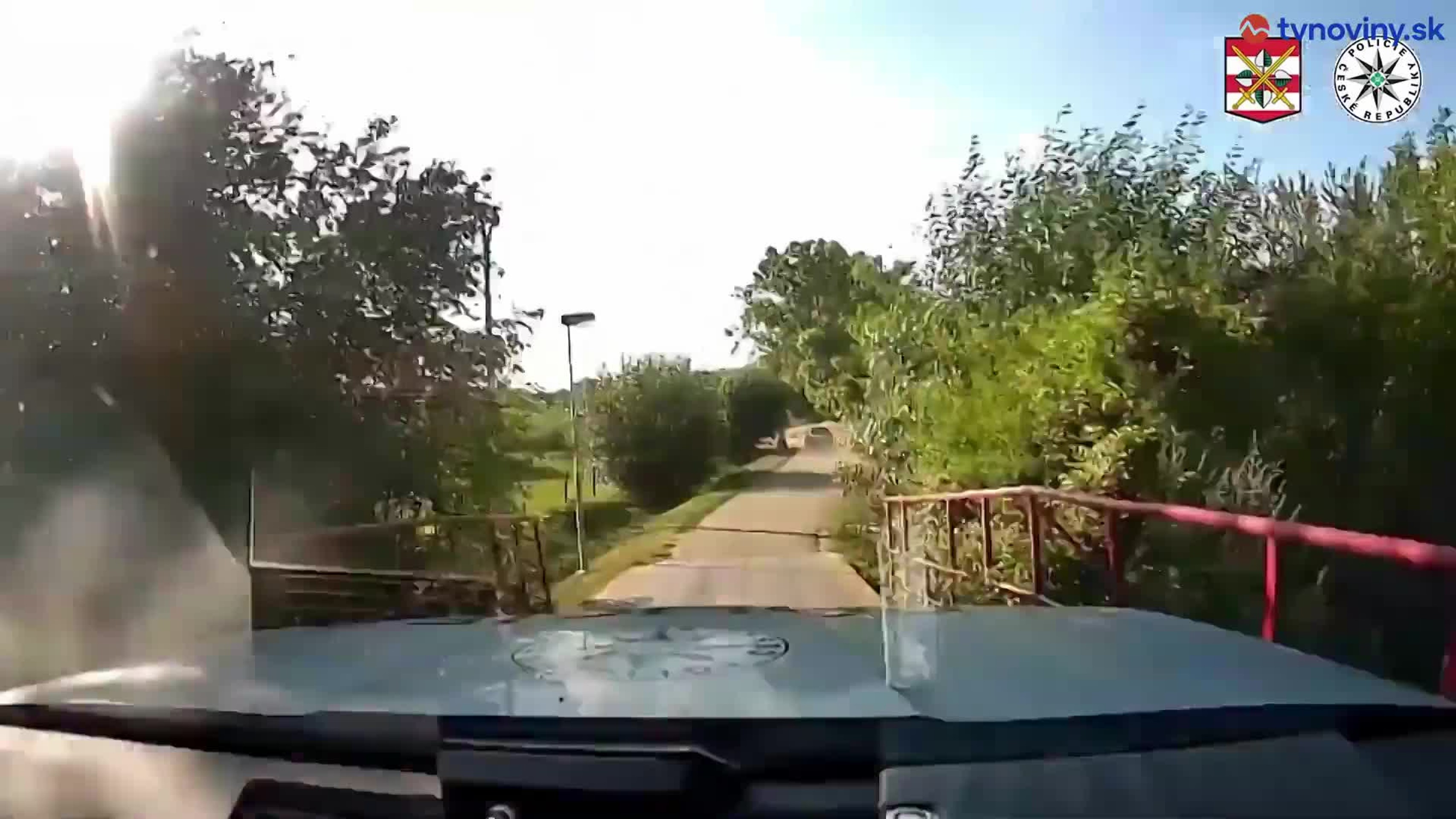 Policajná naháňačka sa skončila vo vinohrade.