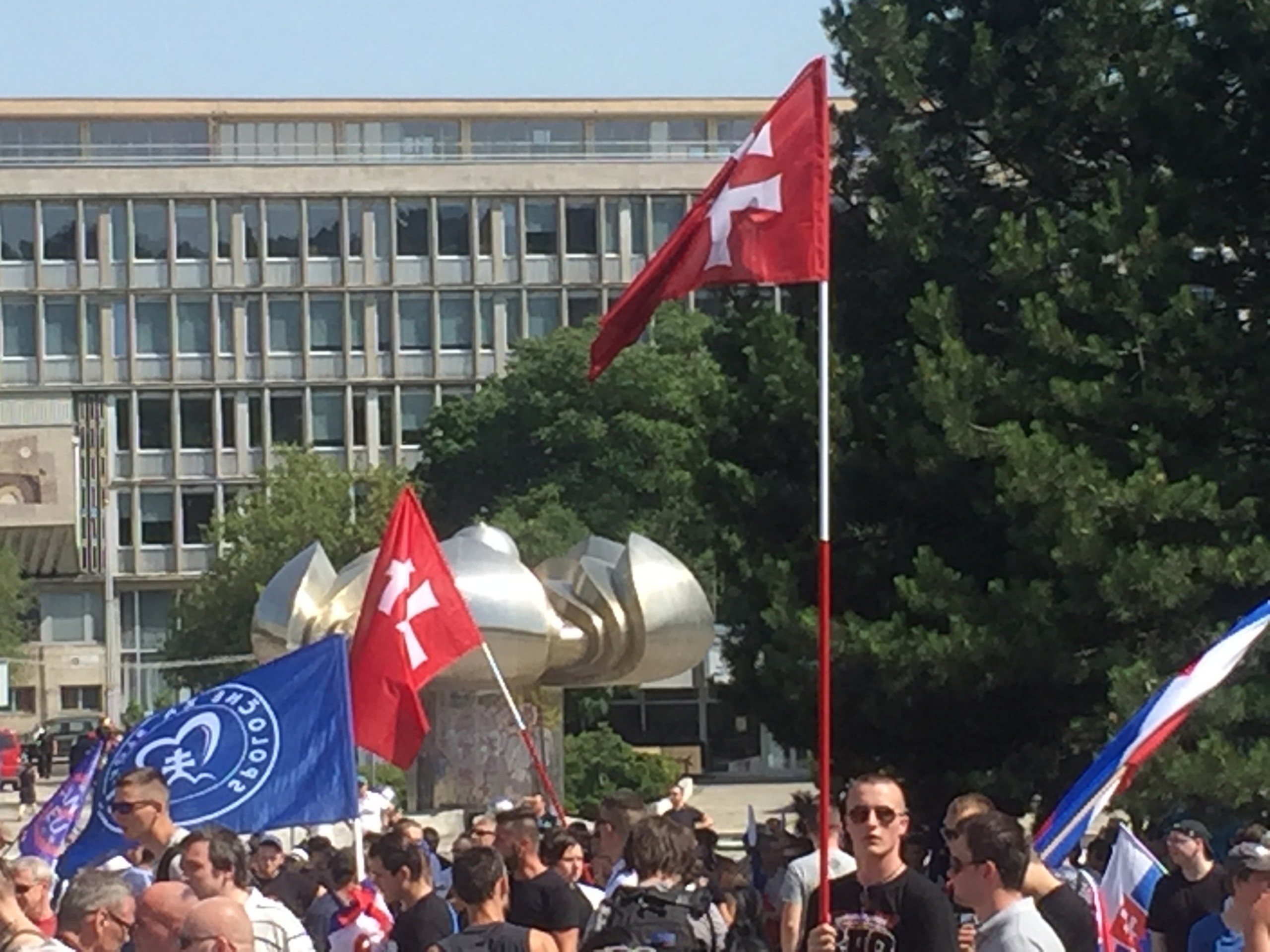 Účastníci pochodu proti islamizácii a Bruselu.