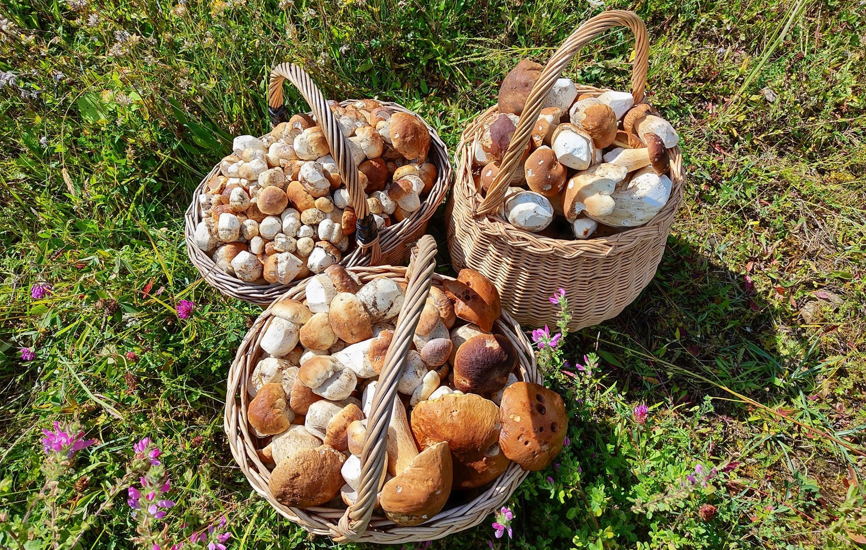 Fero Babiar odchádzal zo Spišskej Magury s troma plnými košmi.