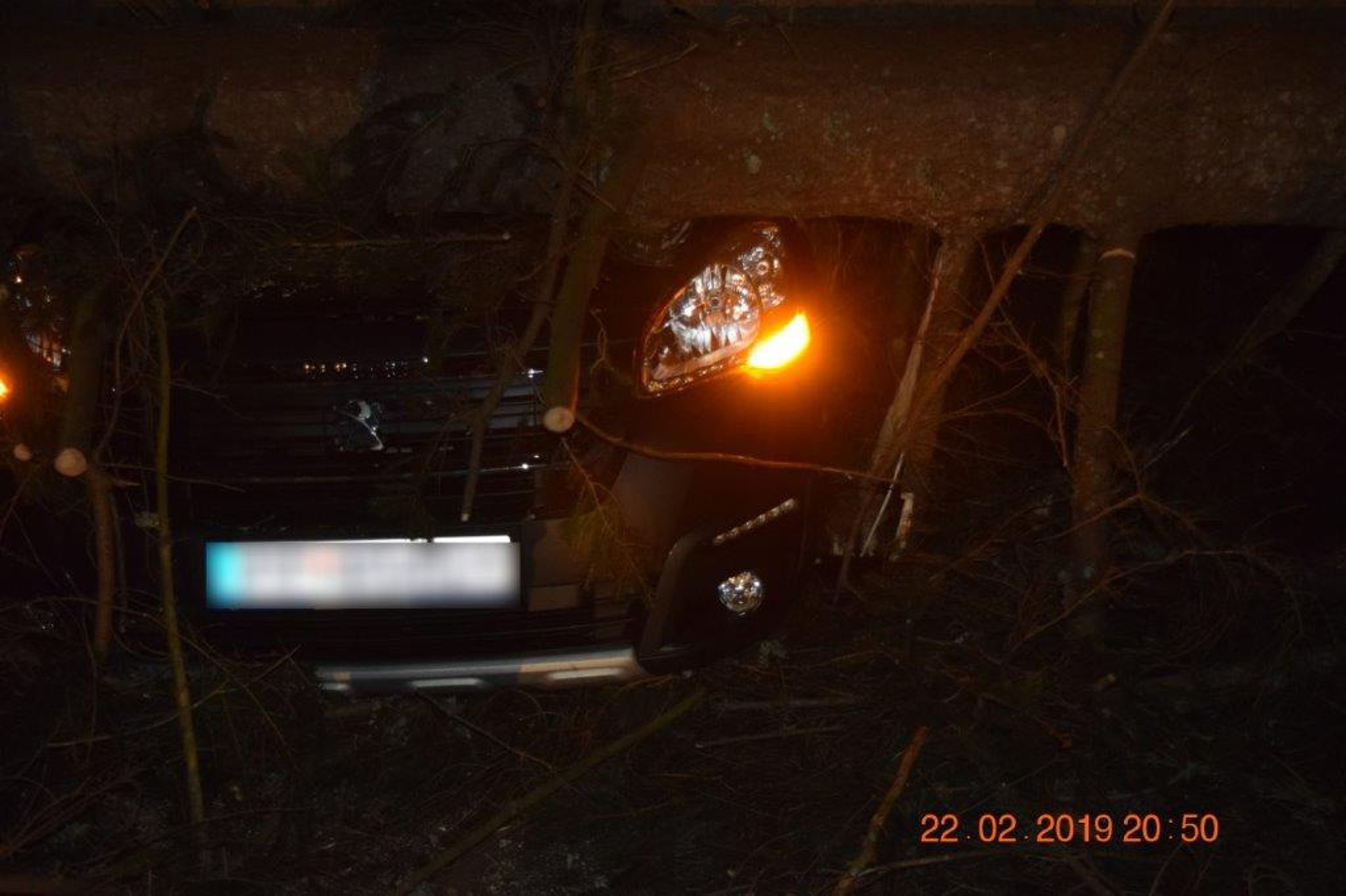 Andrea Verešová na Česko-Slovenskom plese