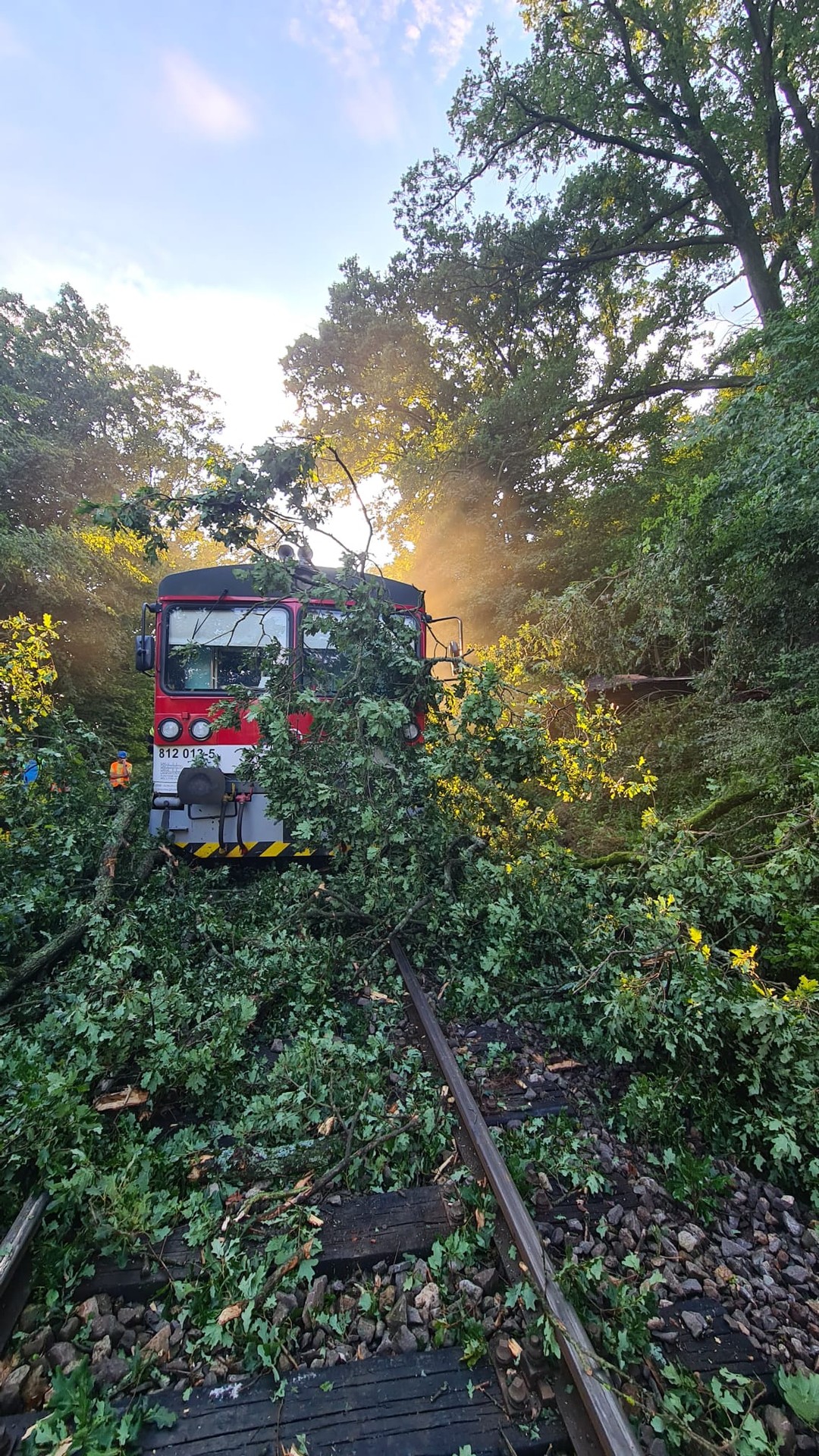 Na vlak spadol strom.