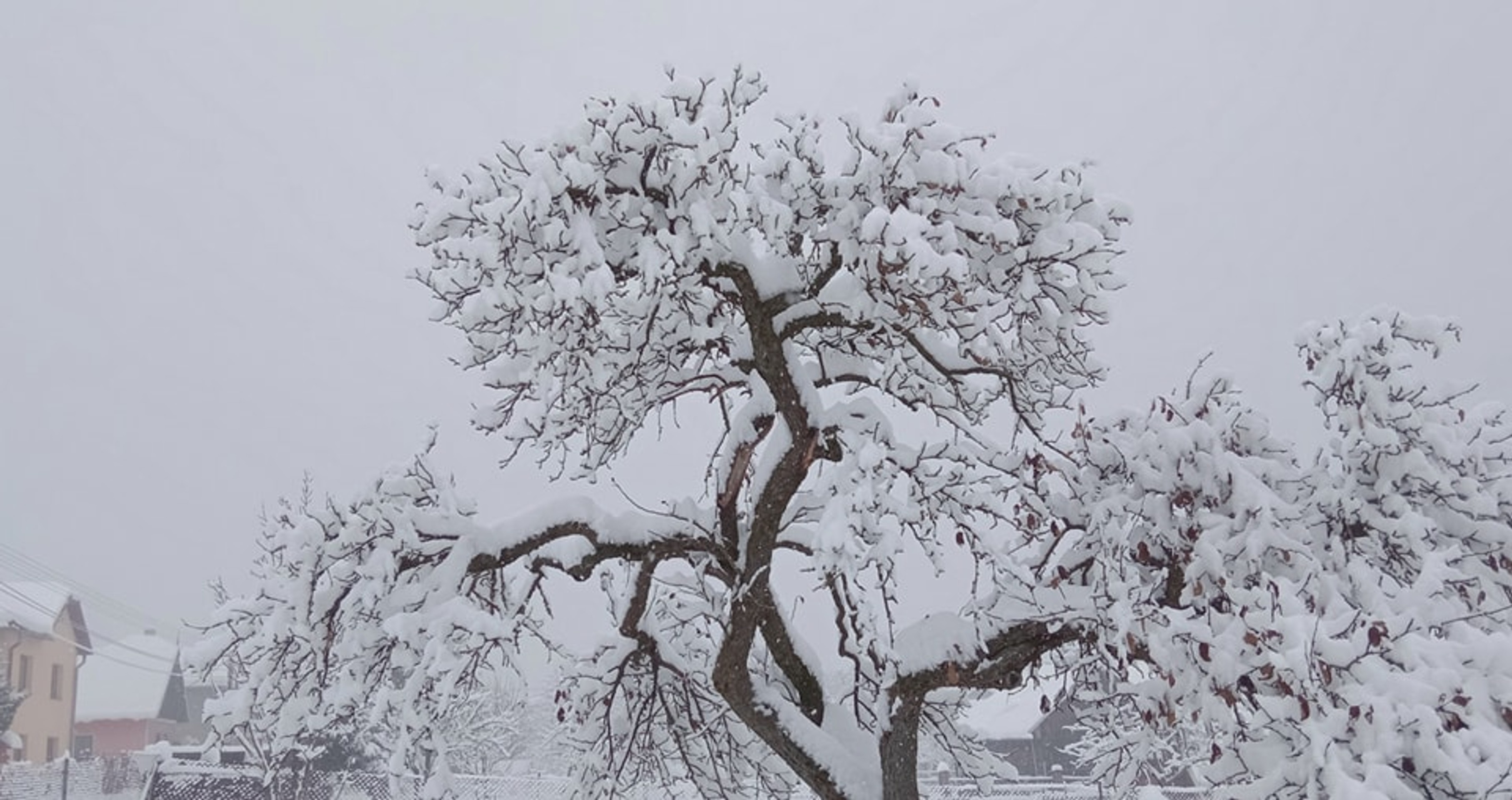 Bacúch v okrese Brezno