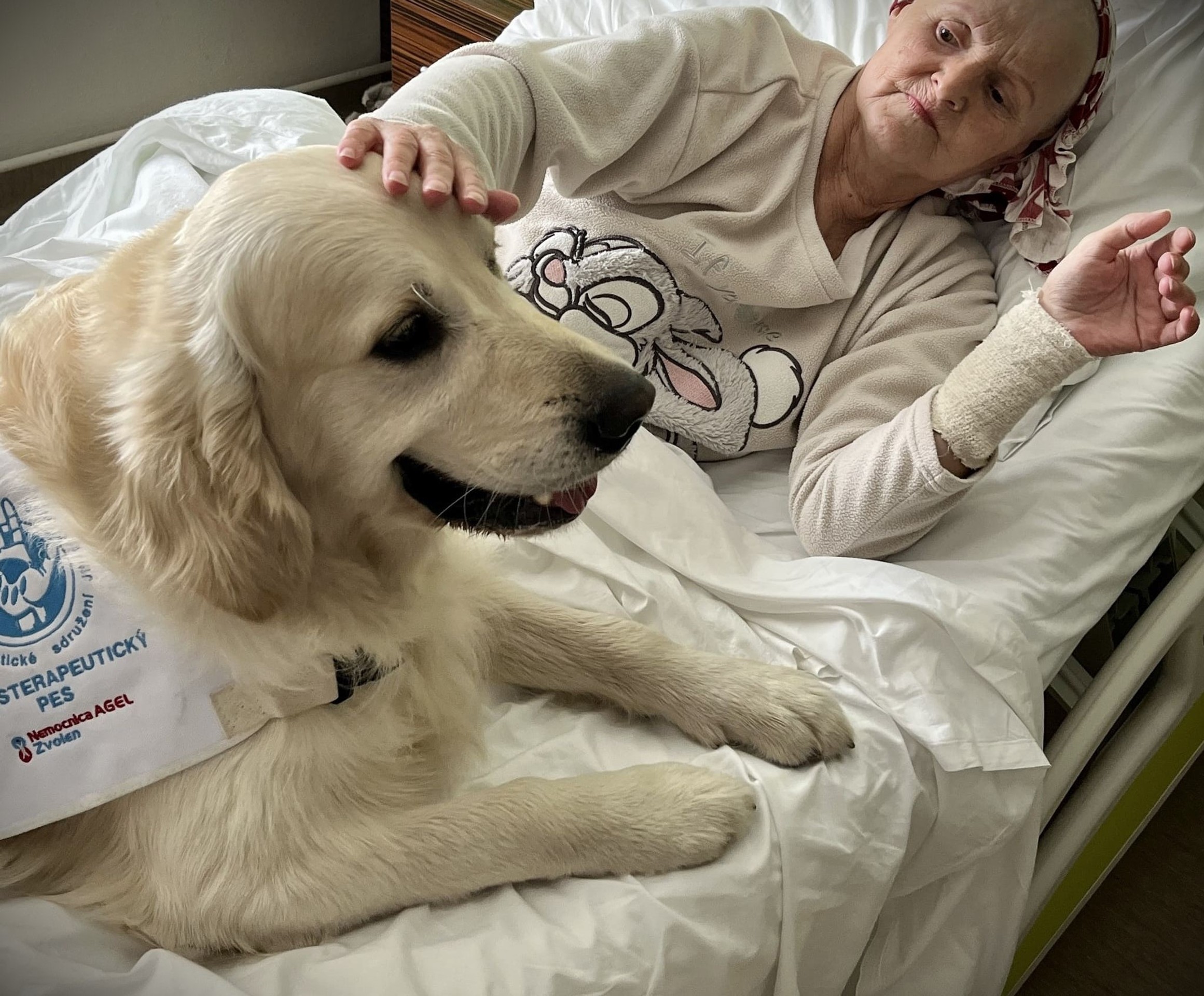 Psíci rozdávajú radosť vo zvolenskej nemocnici.