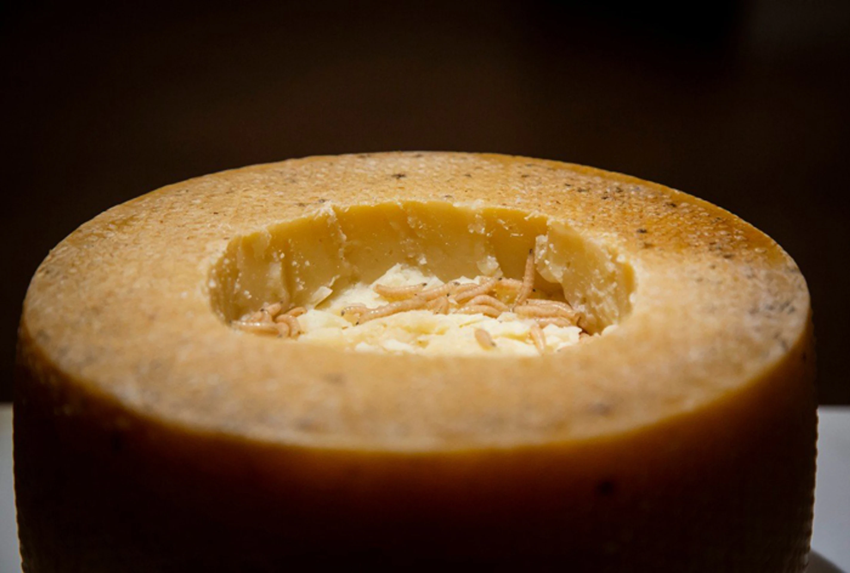 Casu marzu - syrový bochník zo Sardínie plný červíkov.