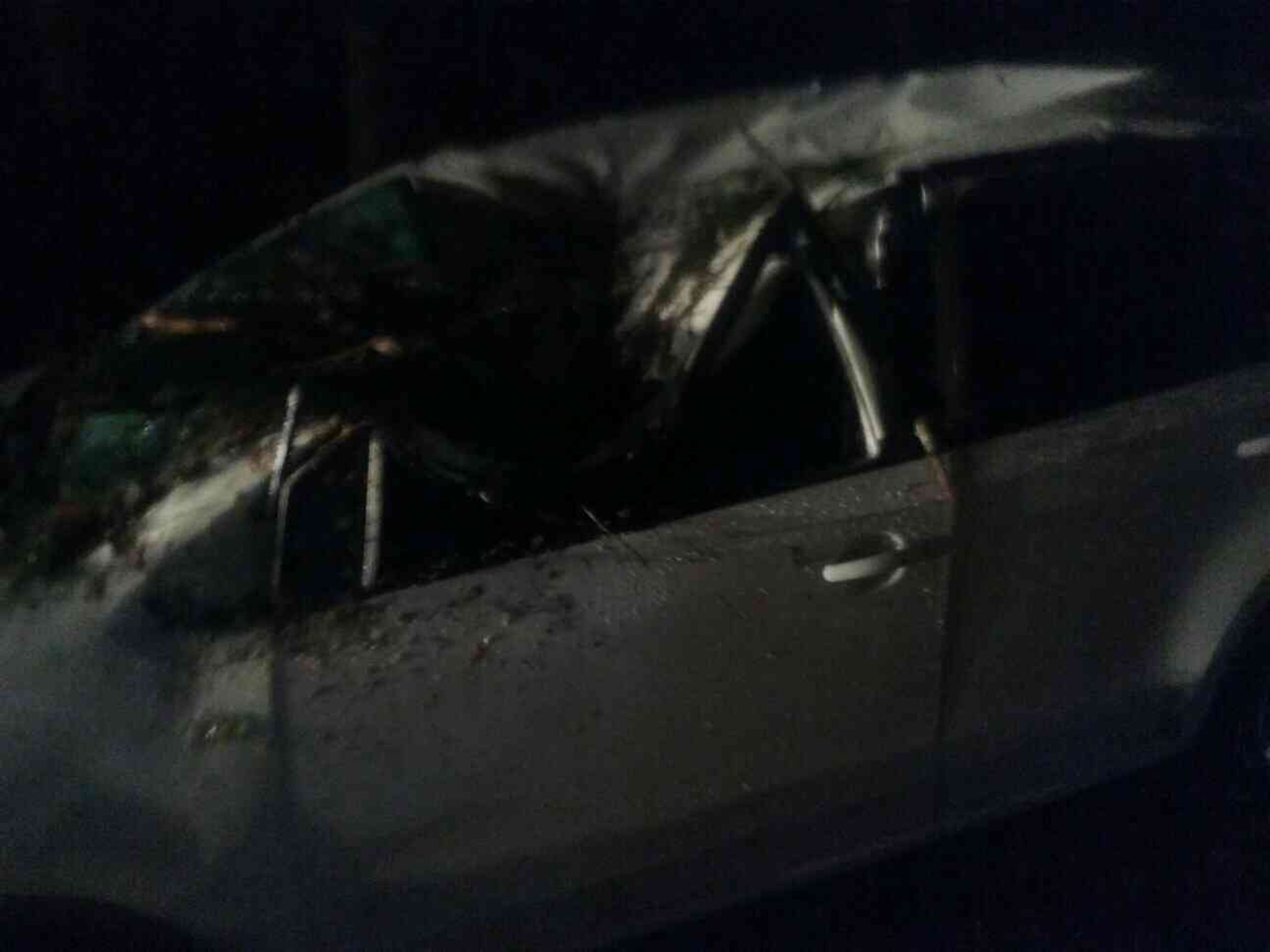 Na mladíka v aute spadol strom.