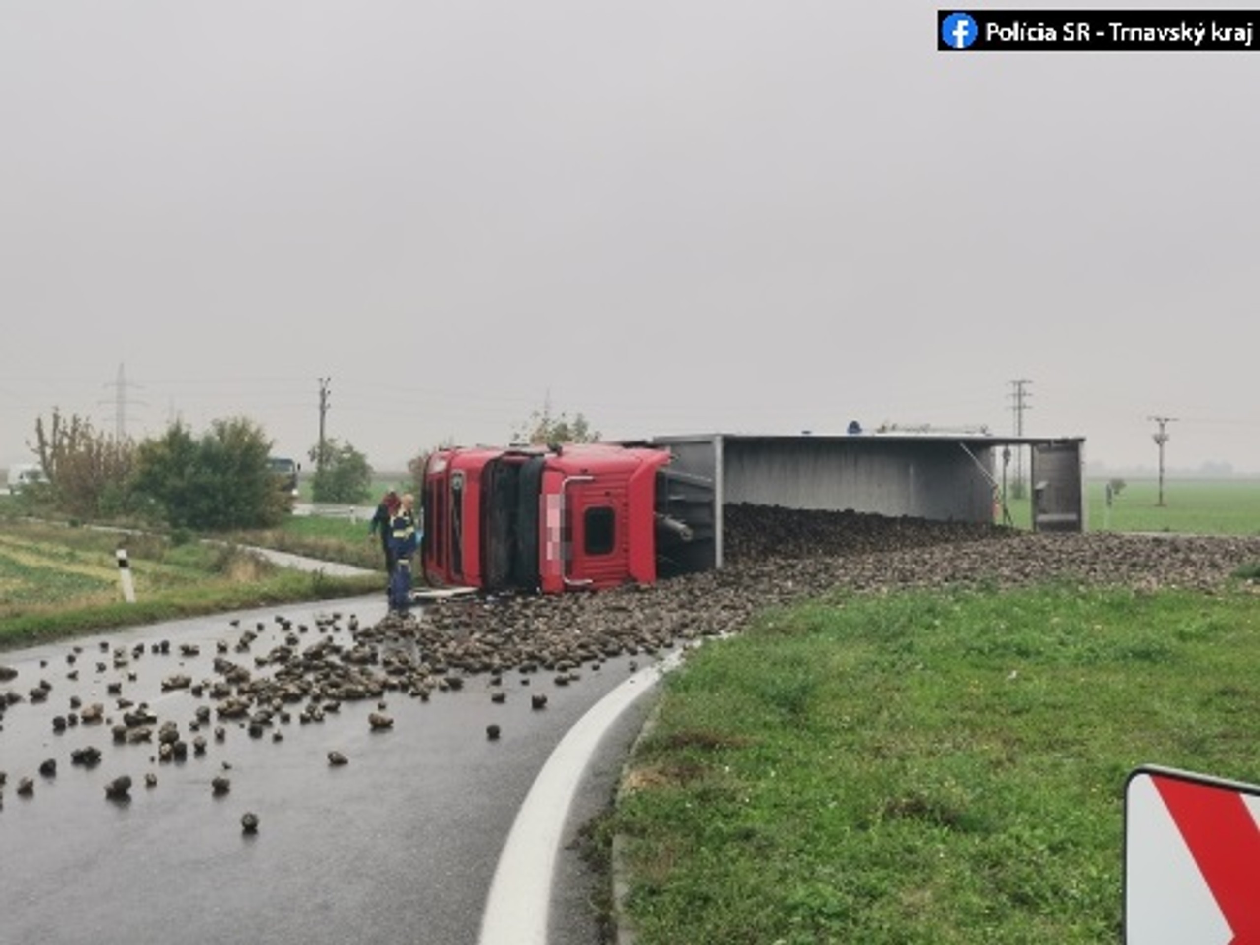 Kamión prevážal repu