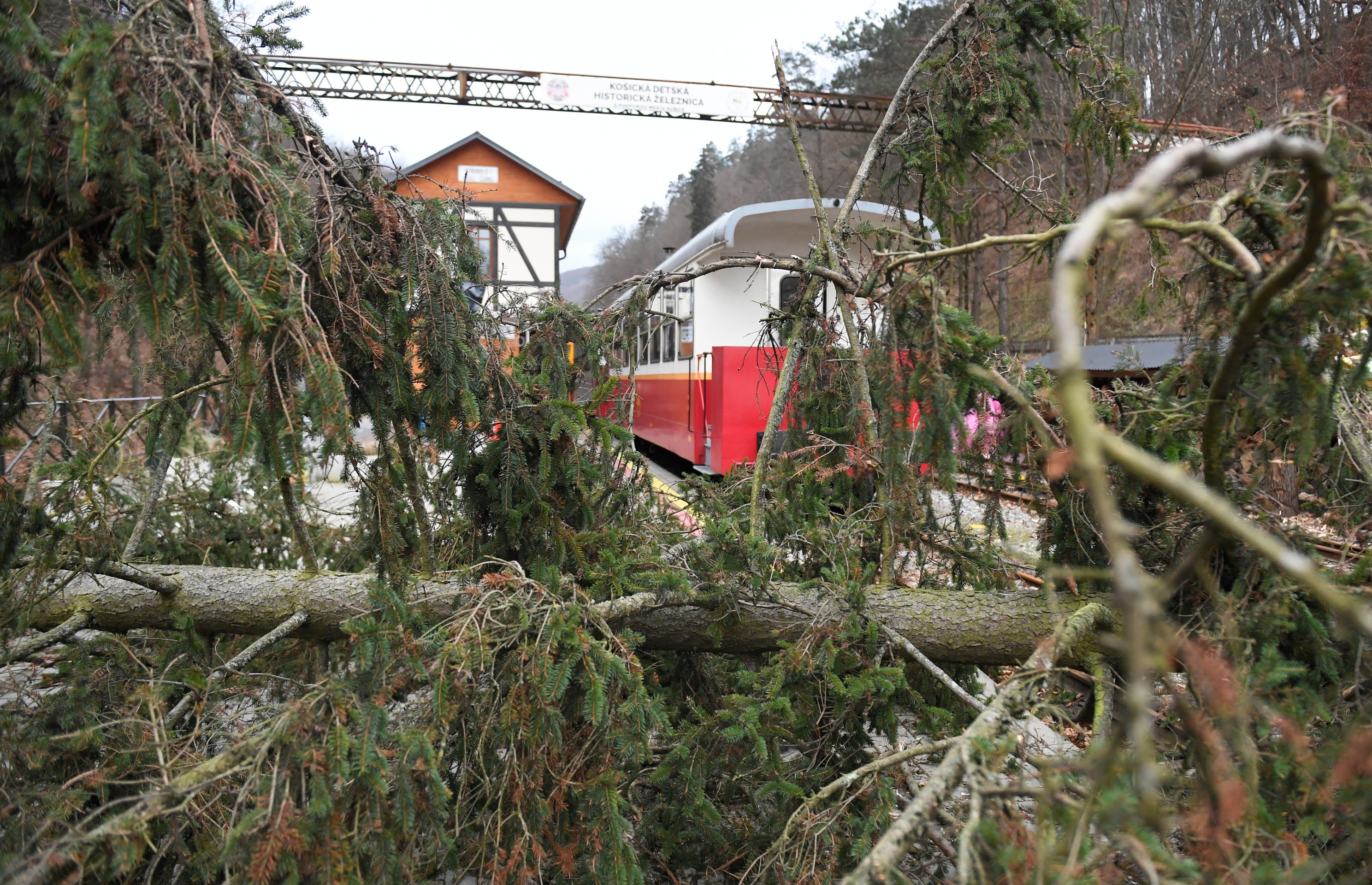Škody po silnom vetre v Košiciach.