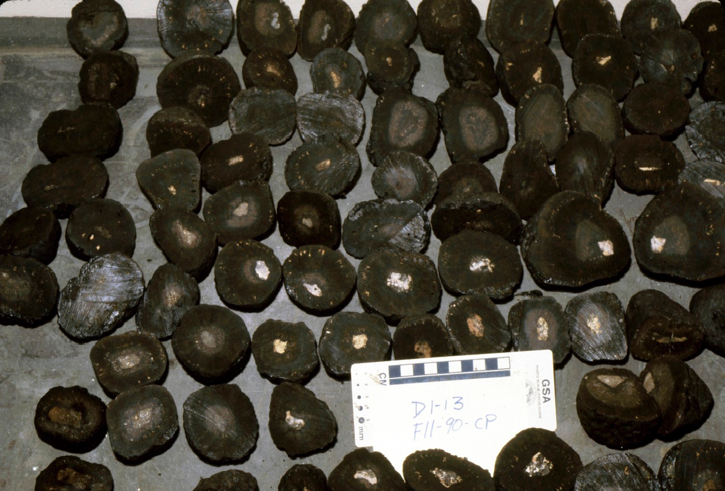 Feromangánové konkrécie.