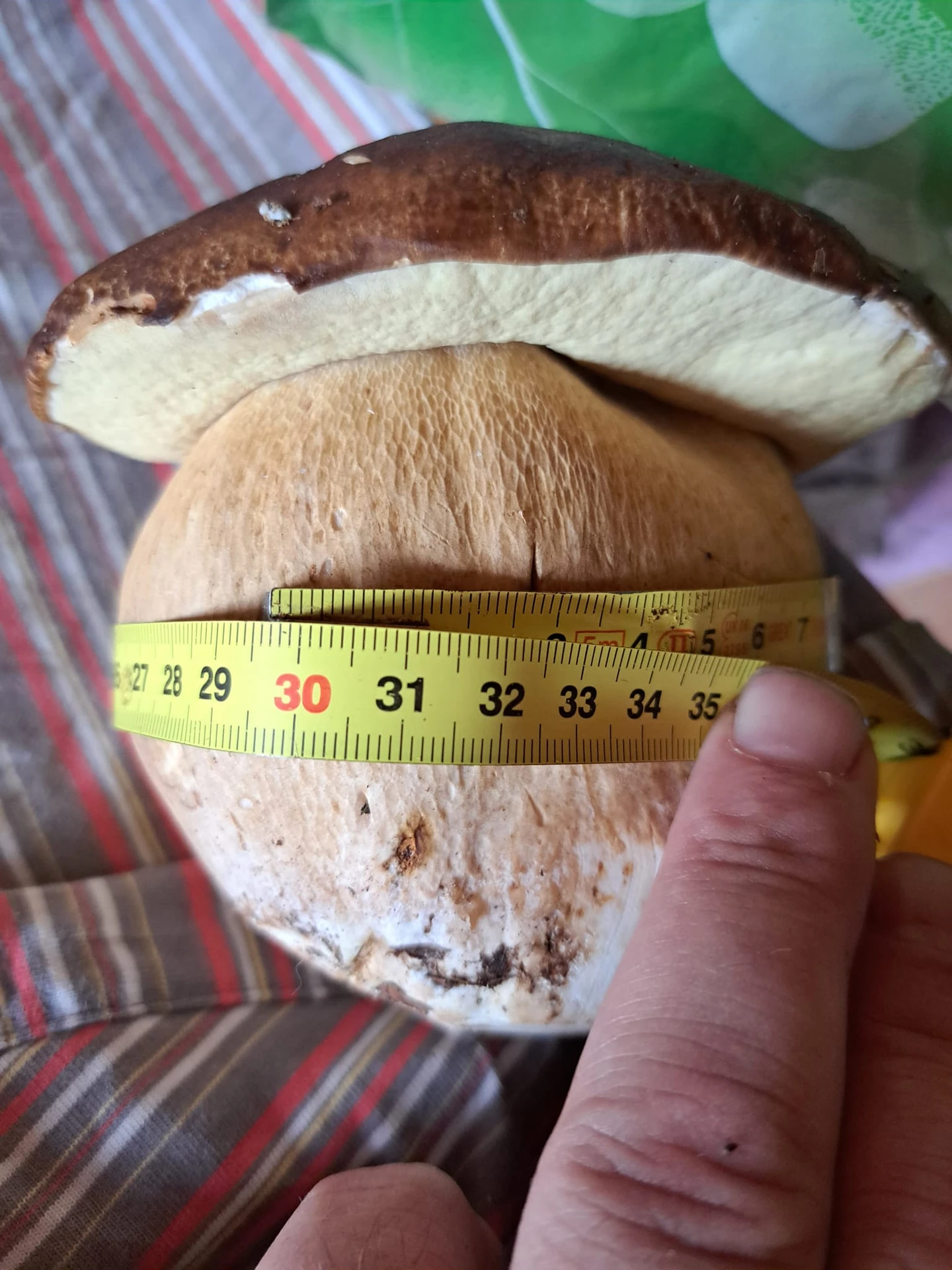 Tento valibuk patrí Júliusovi Mikušovi, ktorý ho našiel pri Bánovciach nad Bebravou.