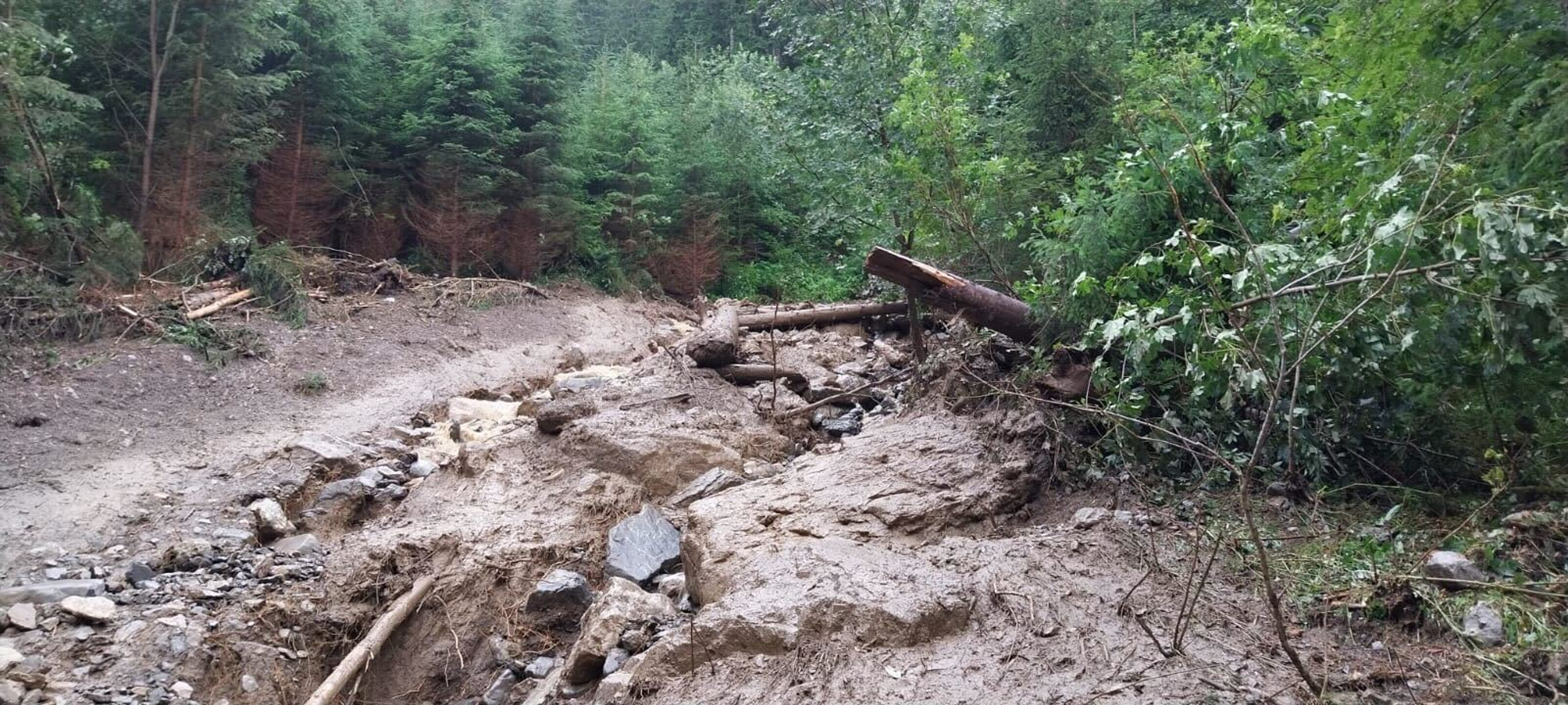 Oblasť, kde sa stalo nešťastie.