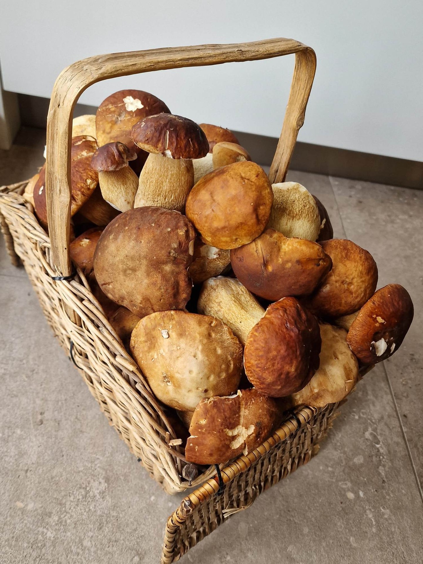 Zo Sniny máme aj druhý dôkaz - plný košík dubákov Jozefa Burdu.