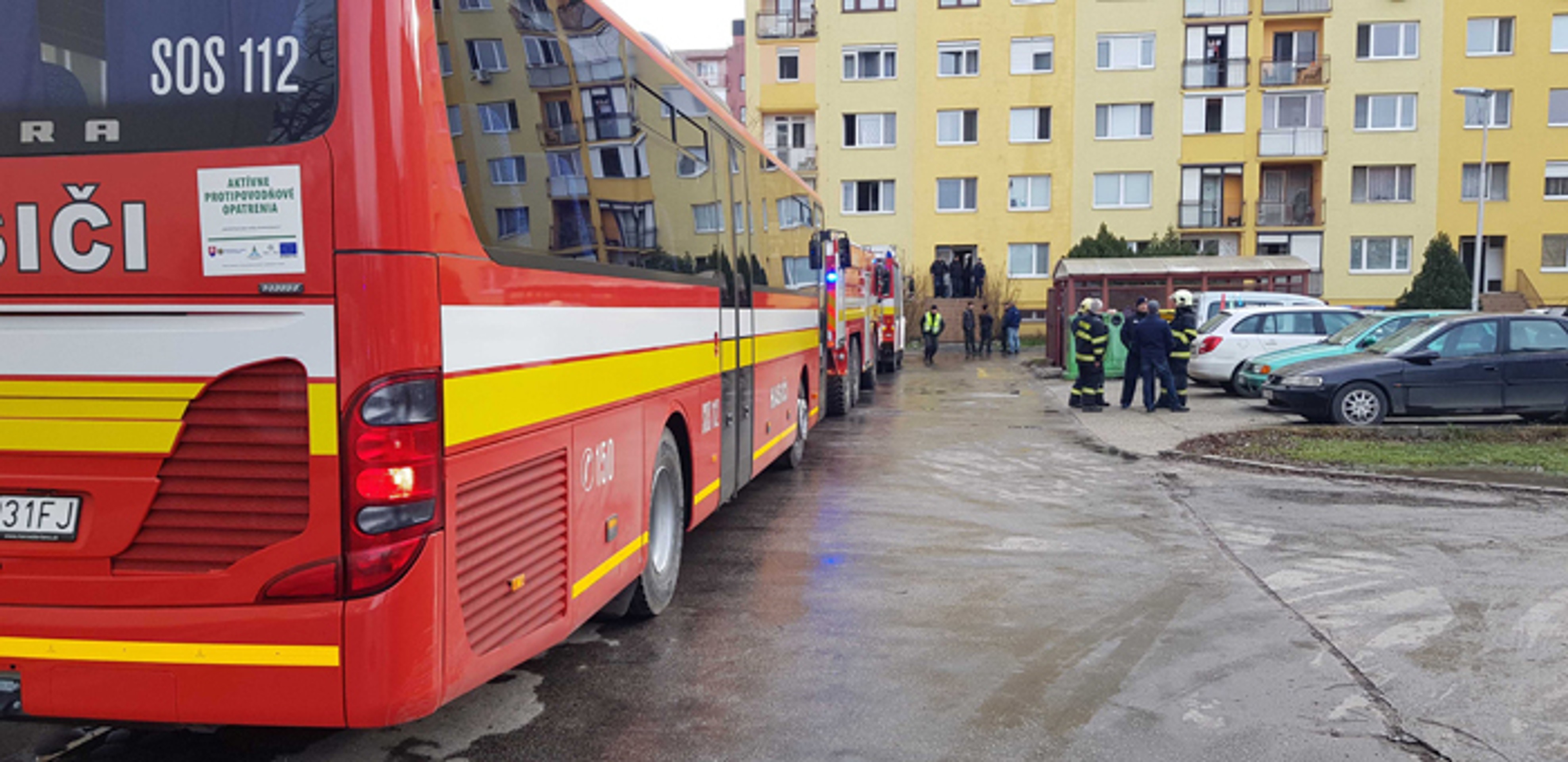 Pes, ktorý kradol hračky na policajnej stanici v meste Franklin.