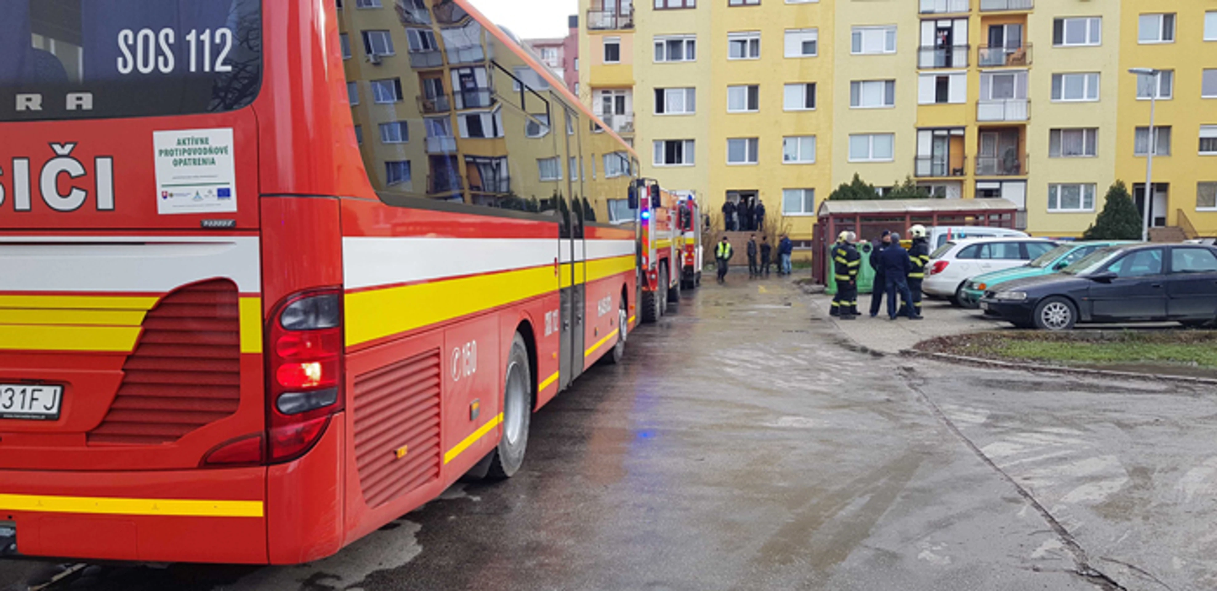 Pes, ktorý kradol hračky na policajnej stanici v meste Franklin.