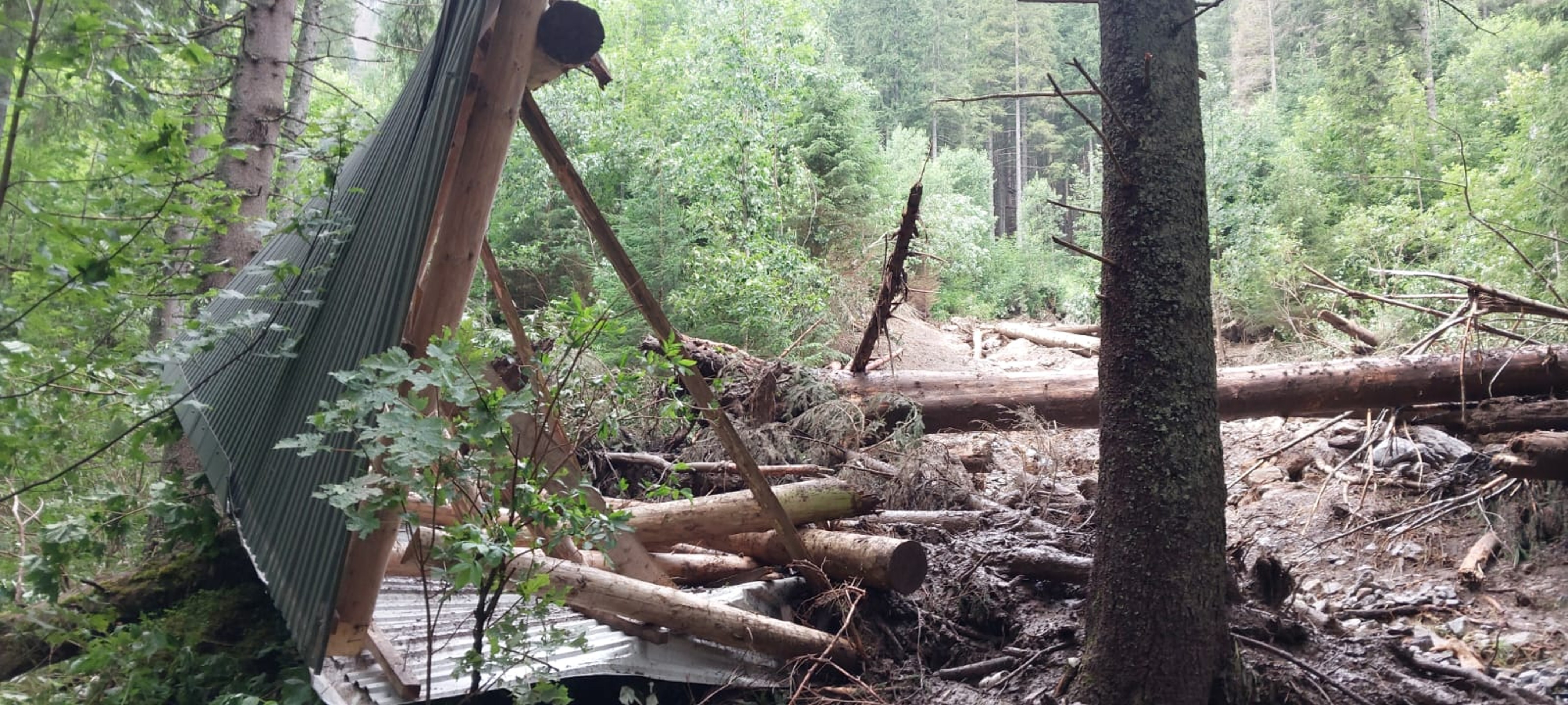 Deň po nešťastí v Monkovej doline.