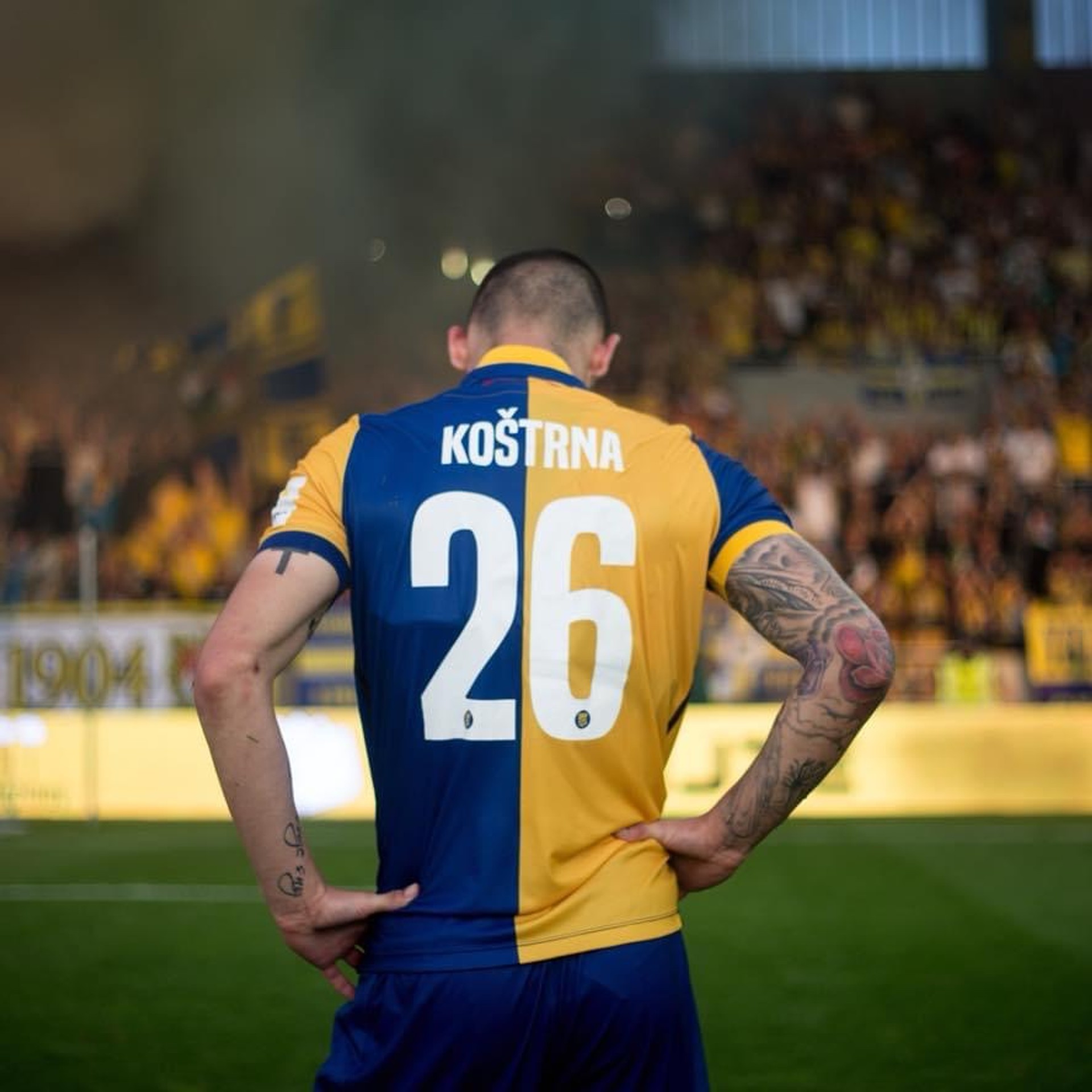 Koštrna v drese DAC