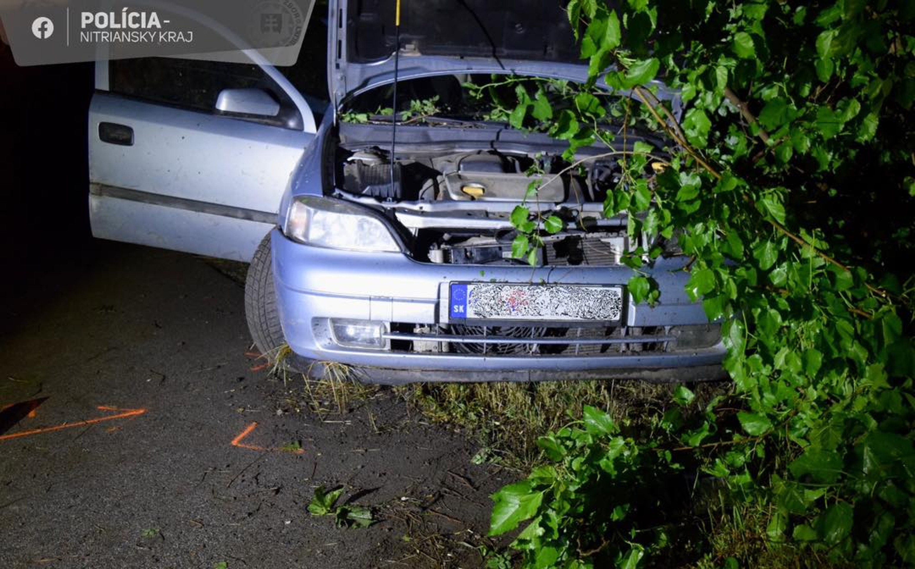 Tragická nehoda pri Šali