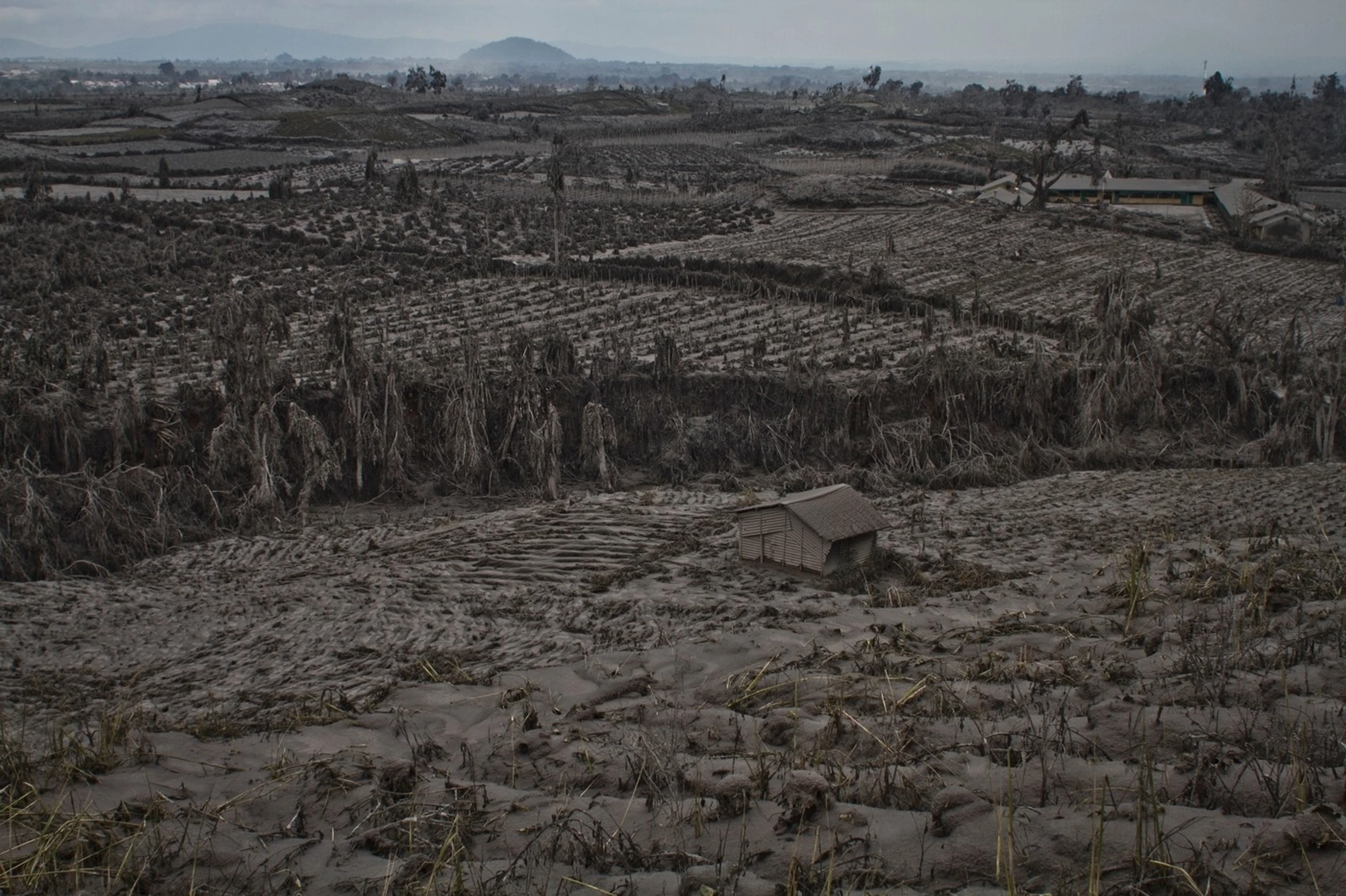 Dedina pokrytá popolom pod sopkou Sinabung 