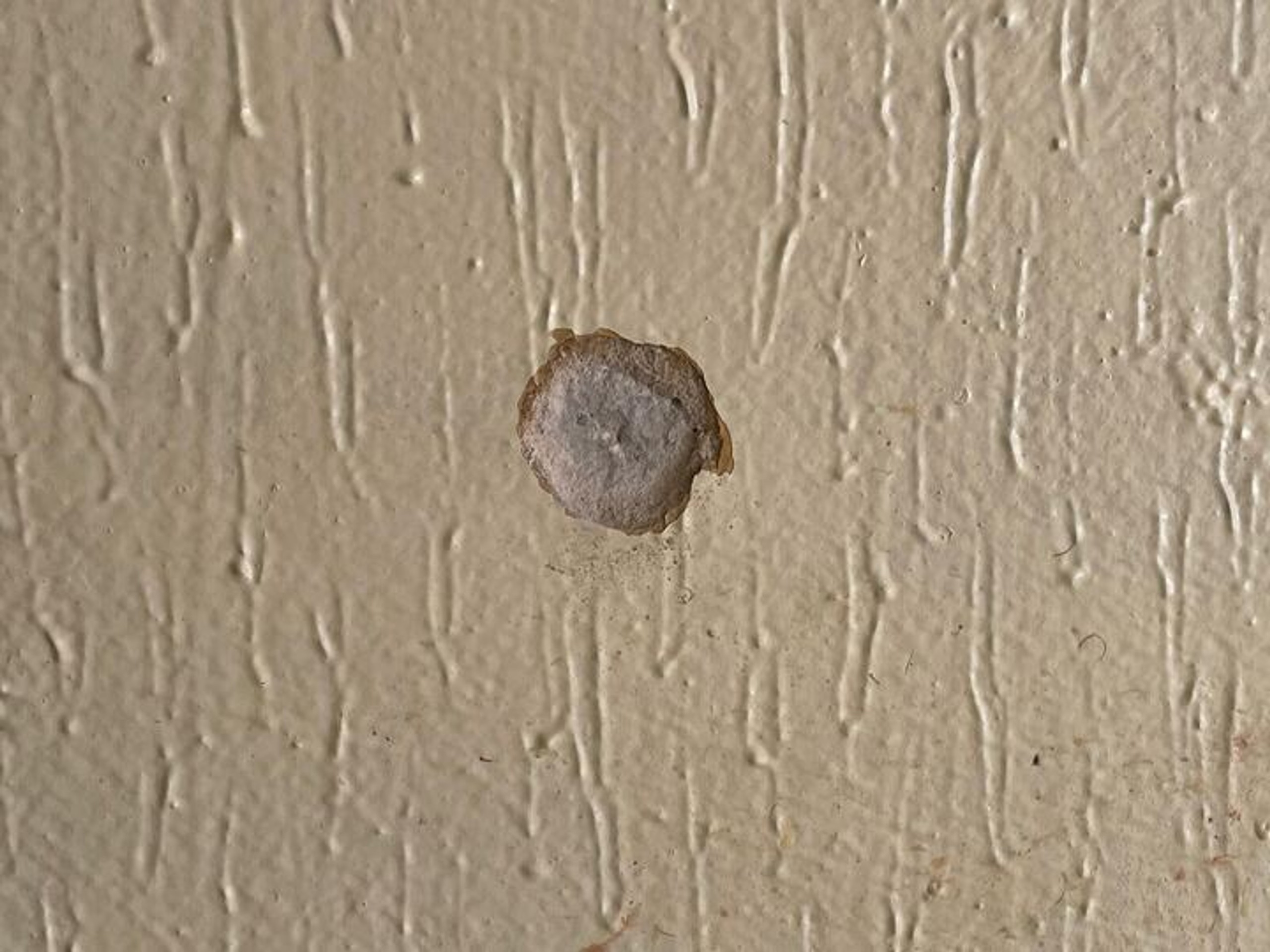 Miesto, kde policajt usmrtil strelca z Dúbravky, lemujú diery po projektiloch