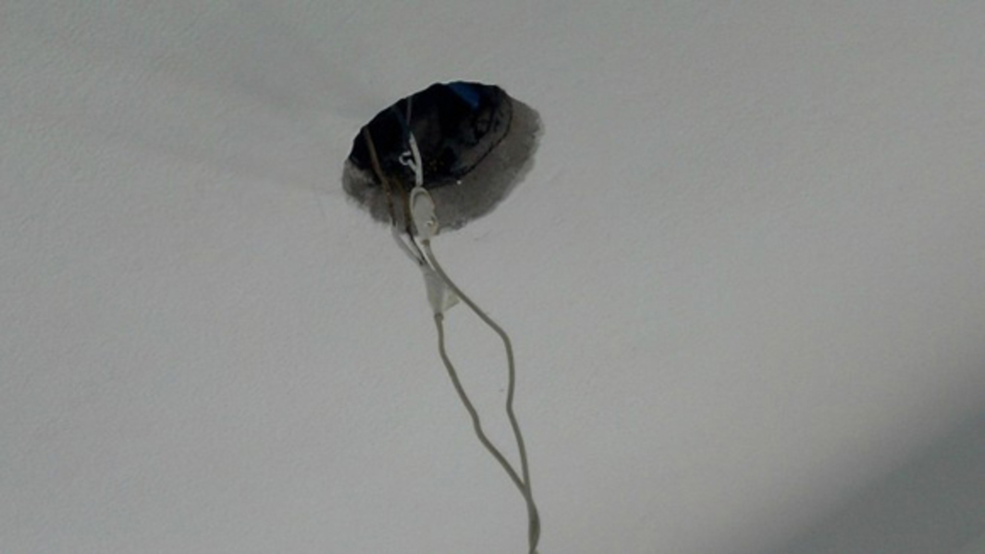 Hniezdo plné pavúkov