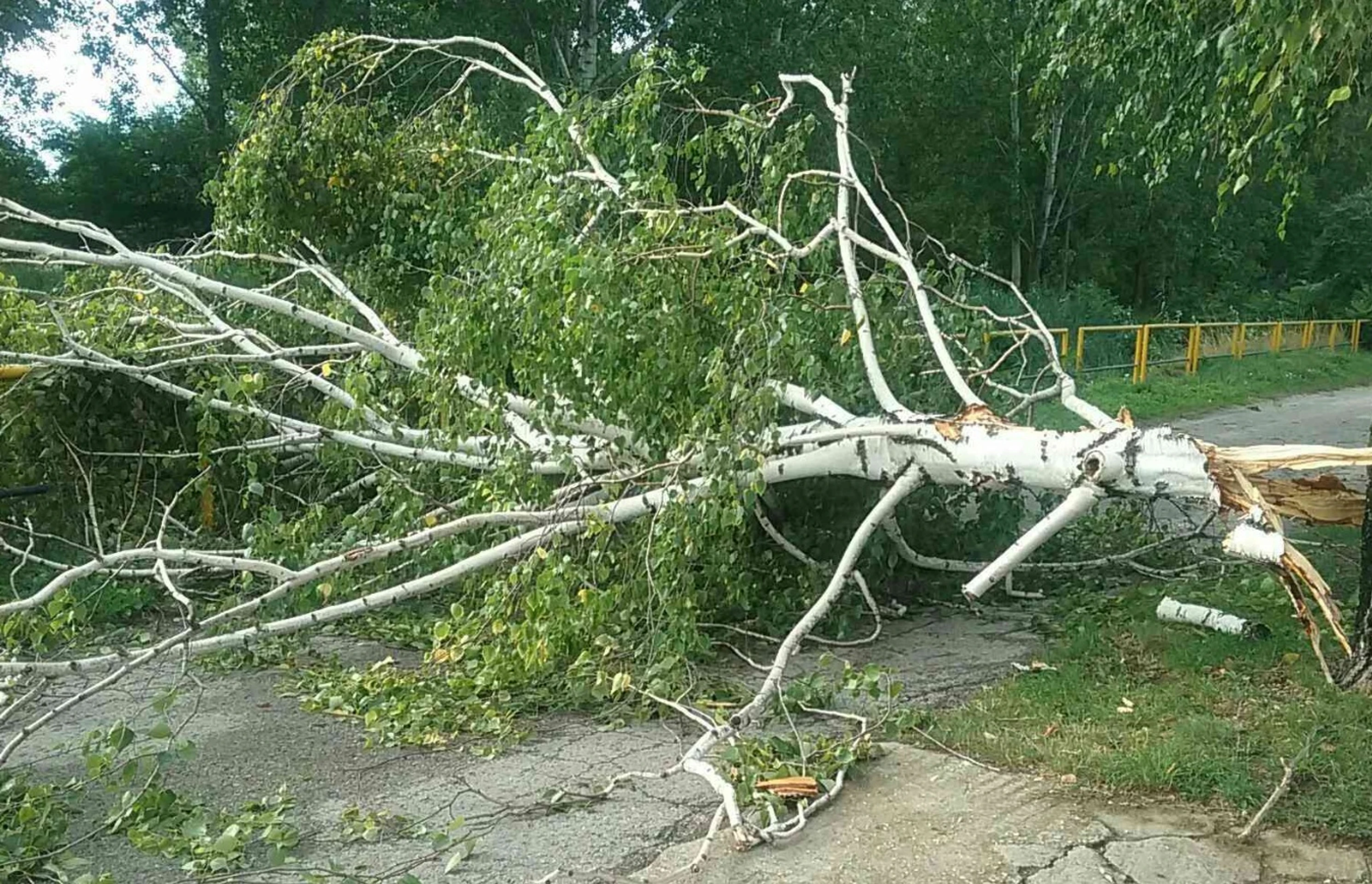 Budúci bývalí manželia zostali priateľmi. 
