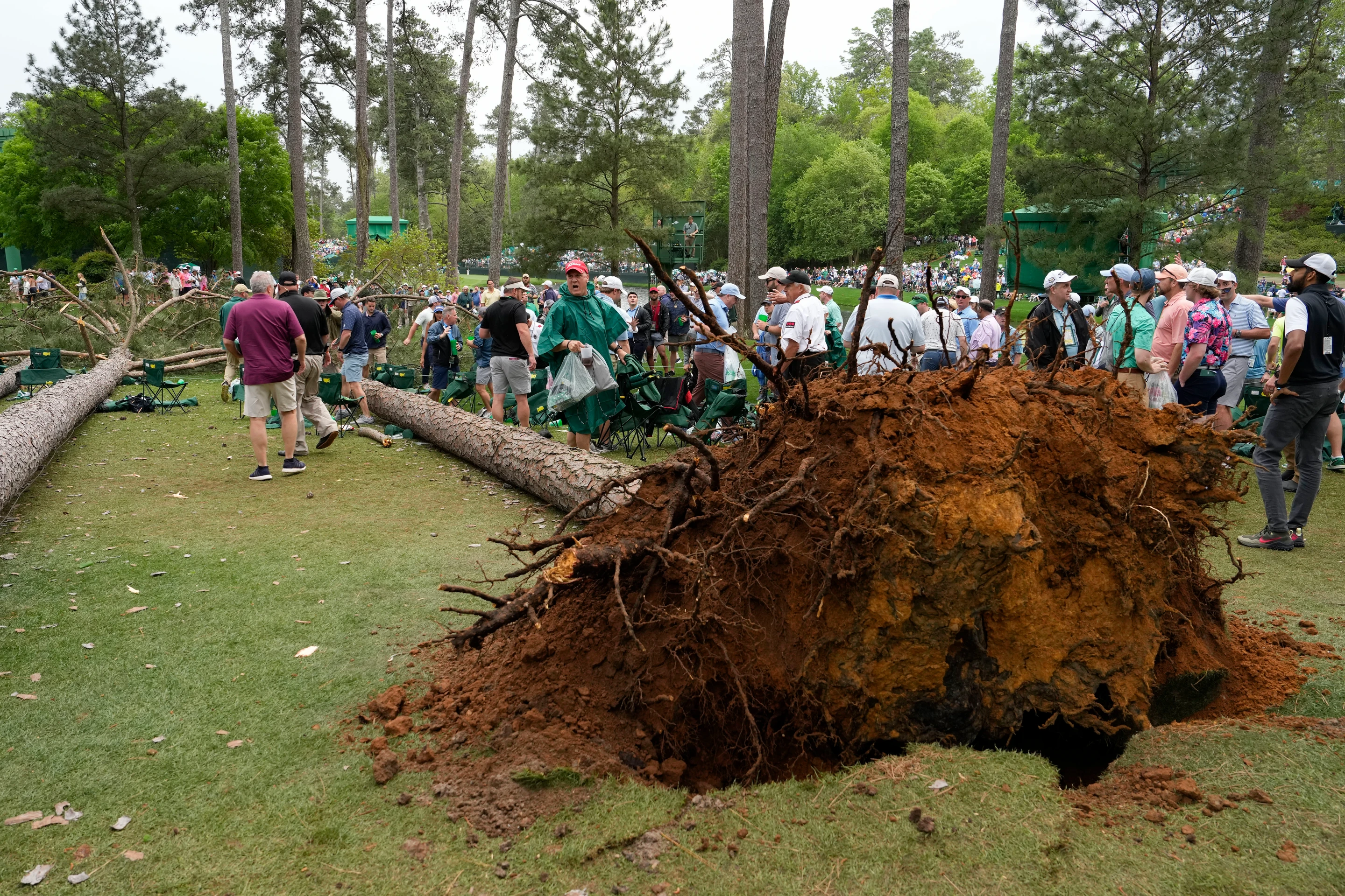 Pád stromov na golfovom turnaji v USA
