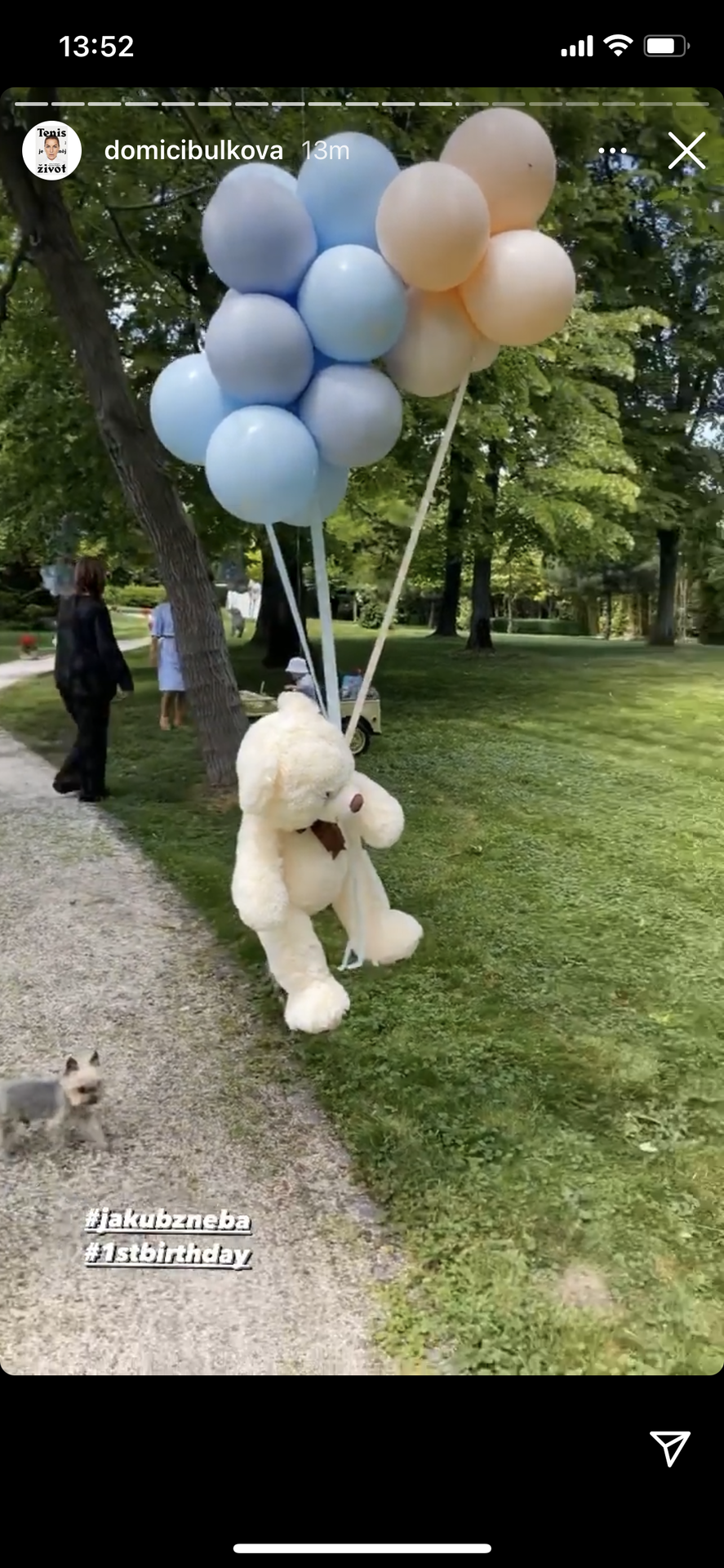 Jakubkova oslava narodenín