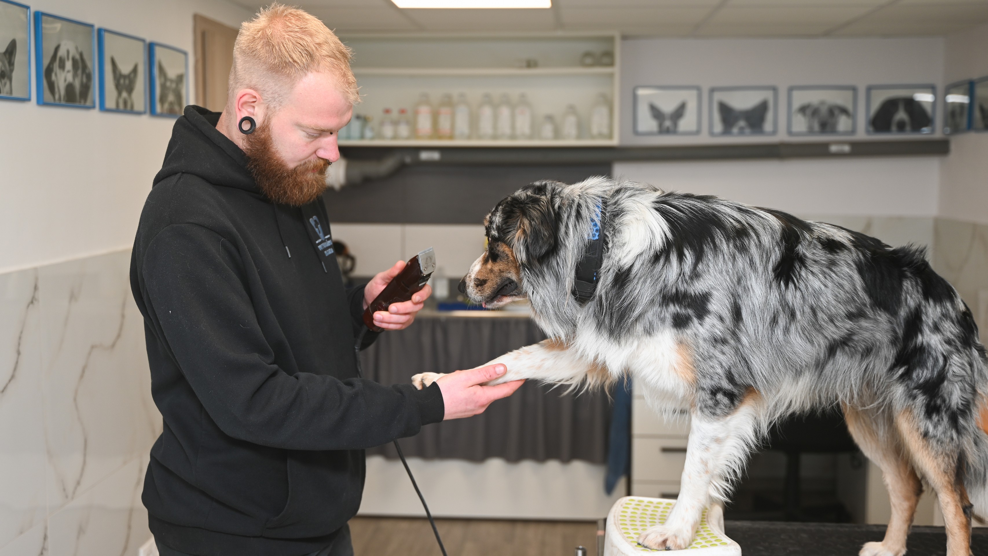 Force free tréner Stano Farkaš a pes Štvrtok.