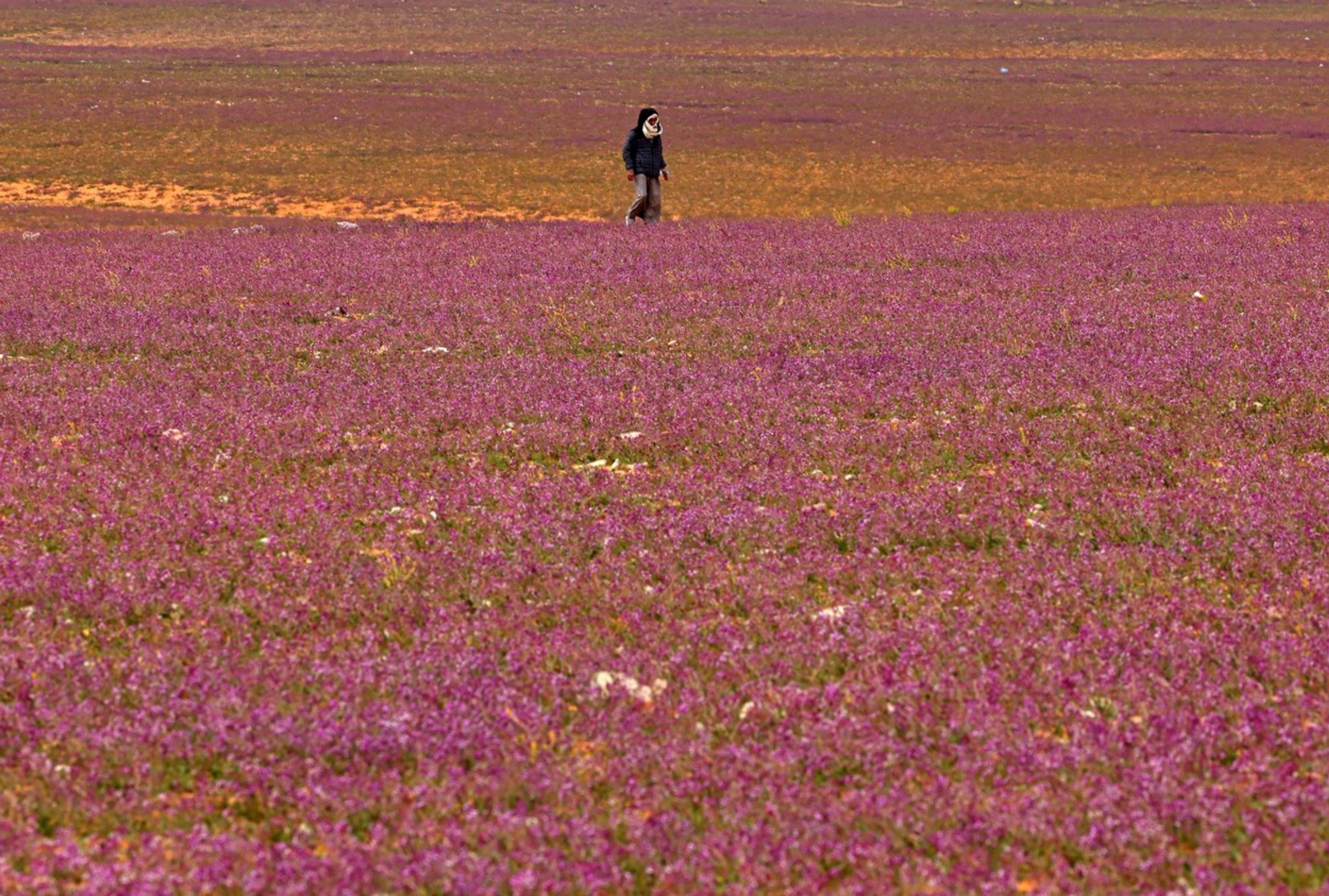 profimedia-0755945257