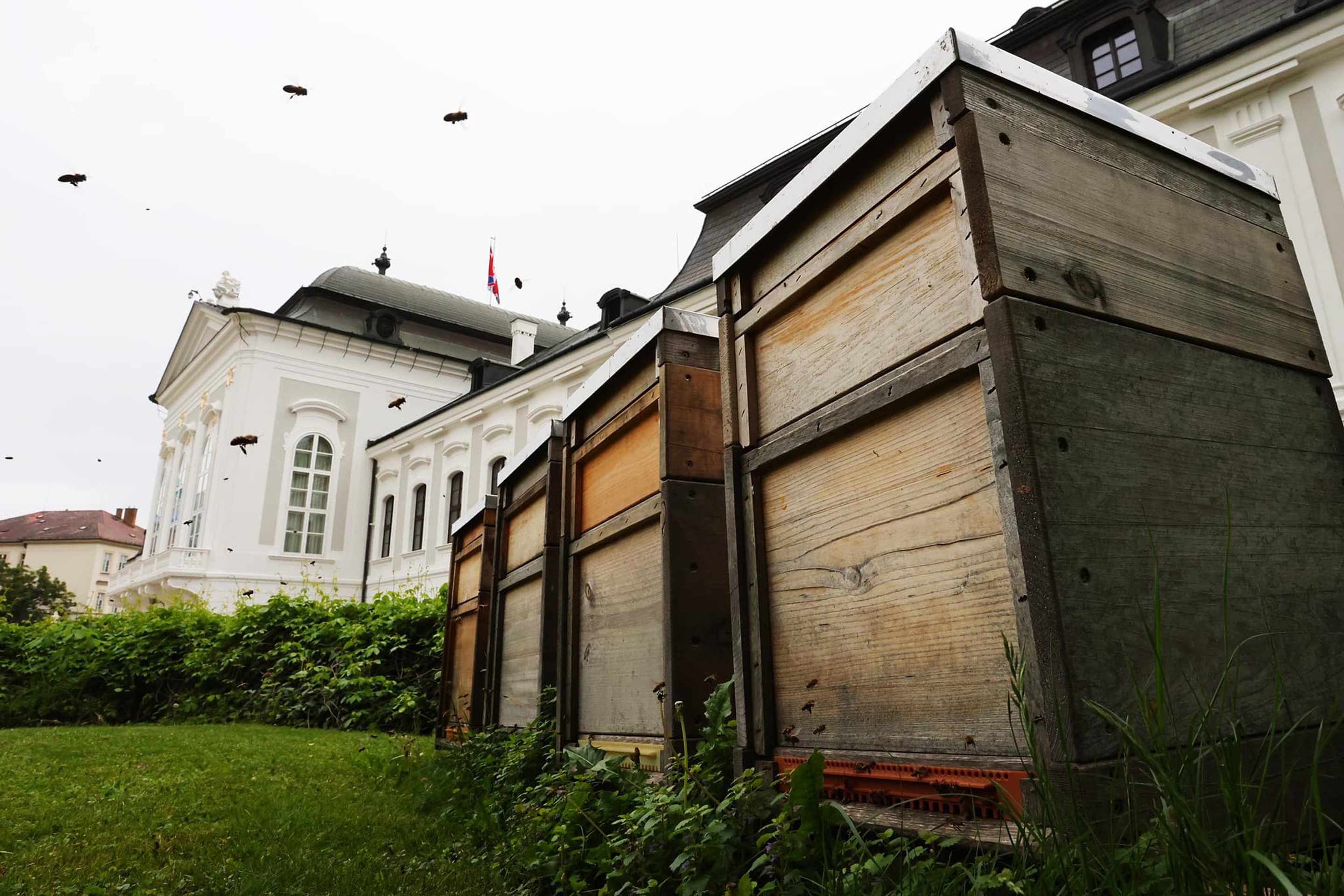 Štyri včelie rodiny v Prezidentskom paláci