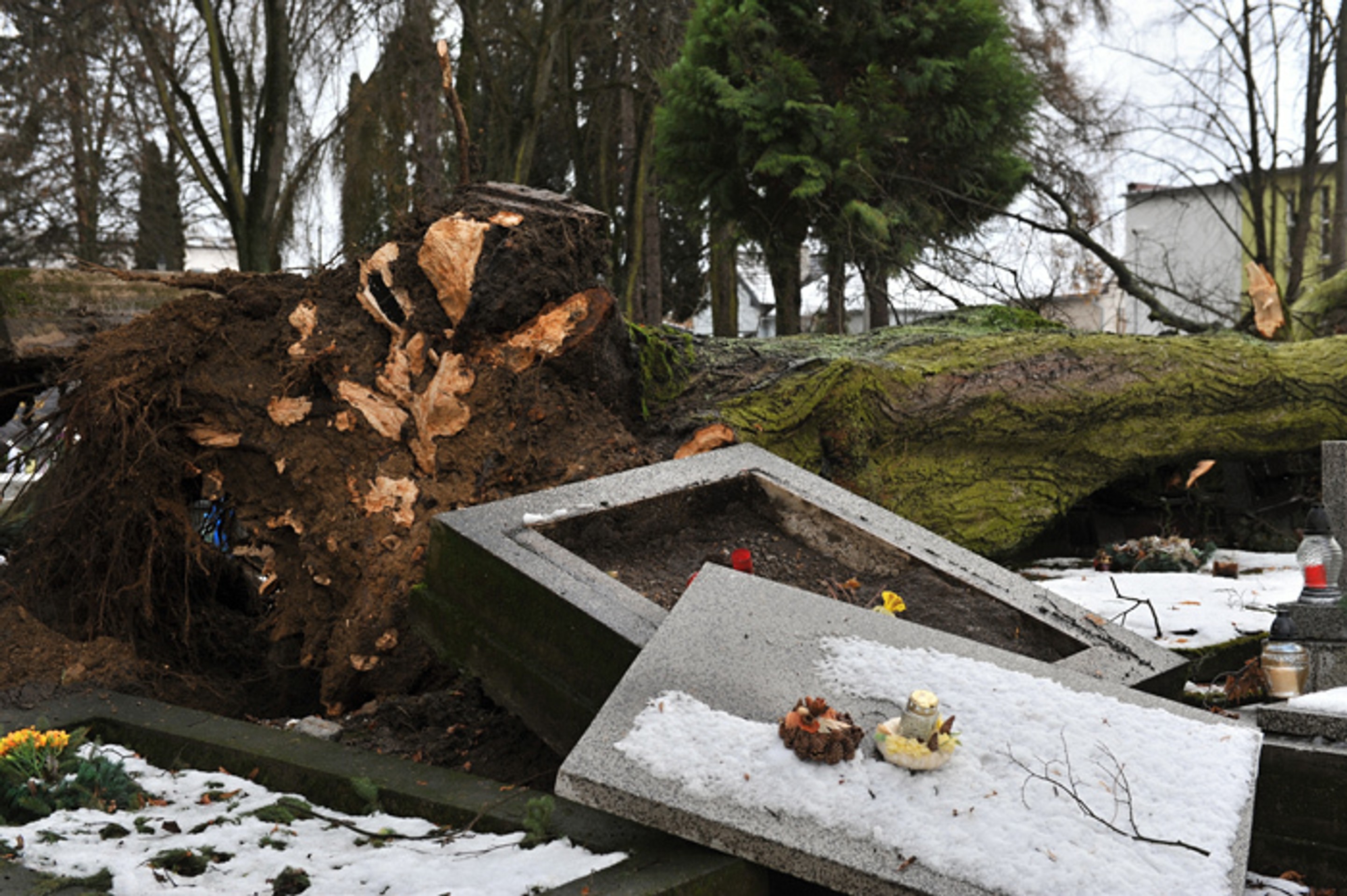 Vyvrátený strom a poškodený hrob na Národnom cintoríne v Martine po veternej smršti.