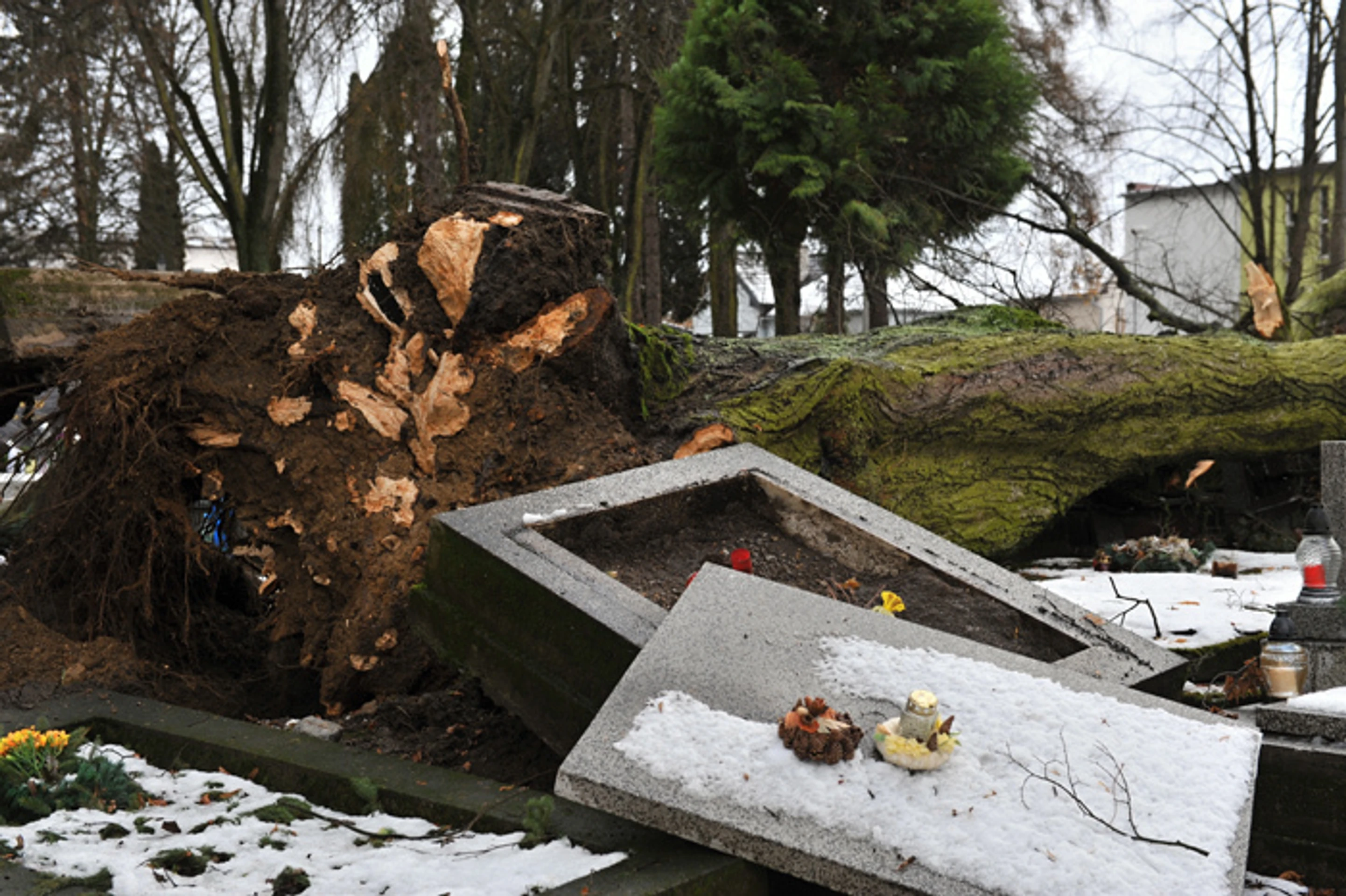 Vyvrátený strom a poškodený hrob na Národnom cintoríne v Martine po veternej smršti.