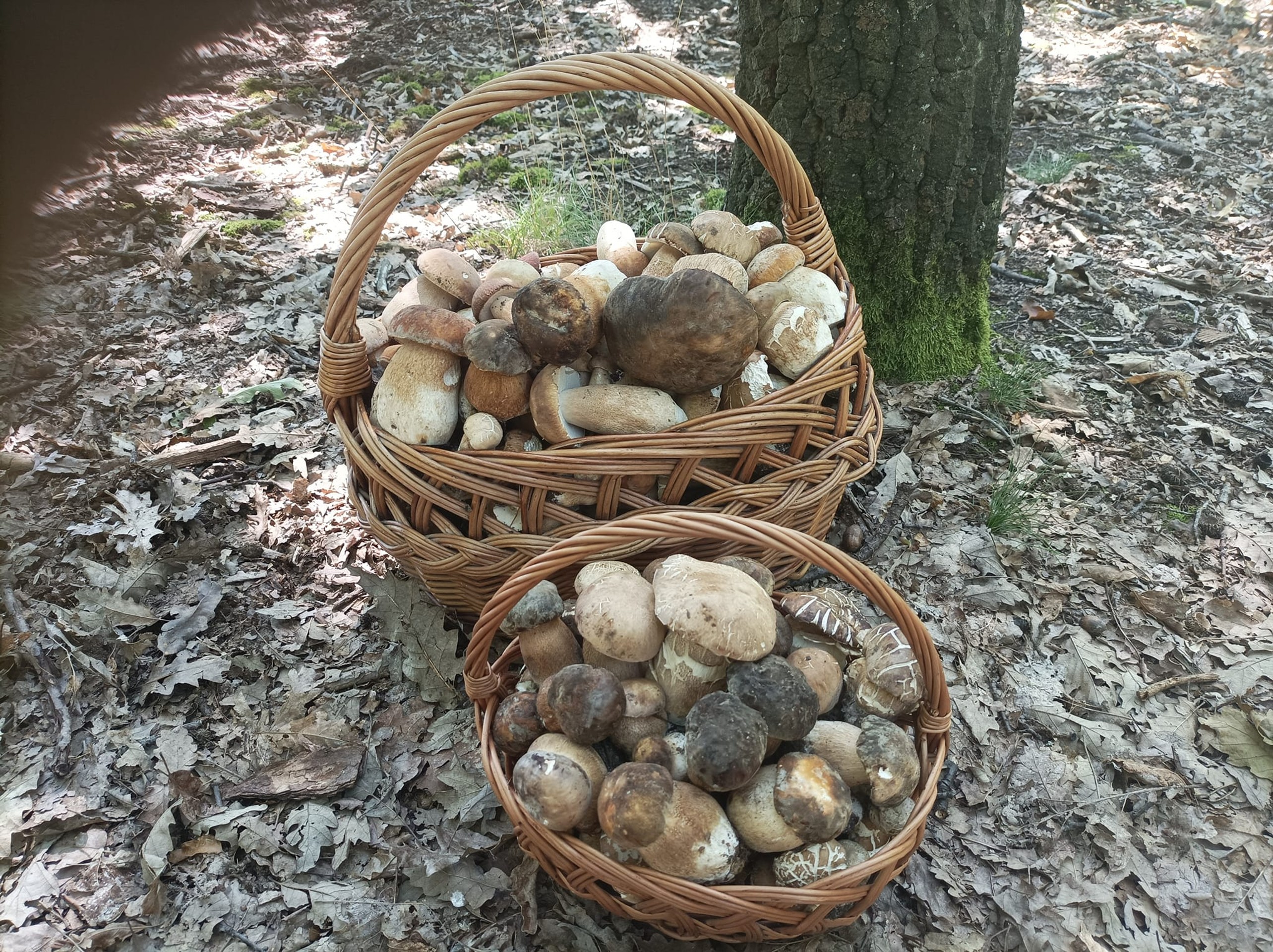 Aj zlatomoravecké hory majú čo ponúknuť. Odfotil Ľuboš Novosád.