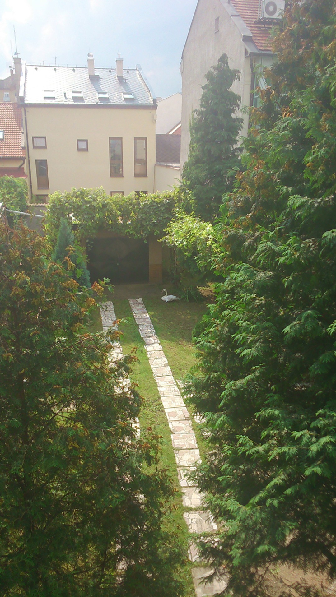 labut03.jpg